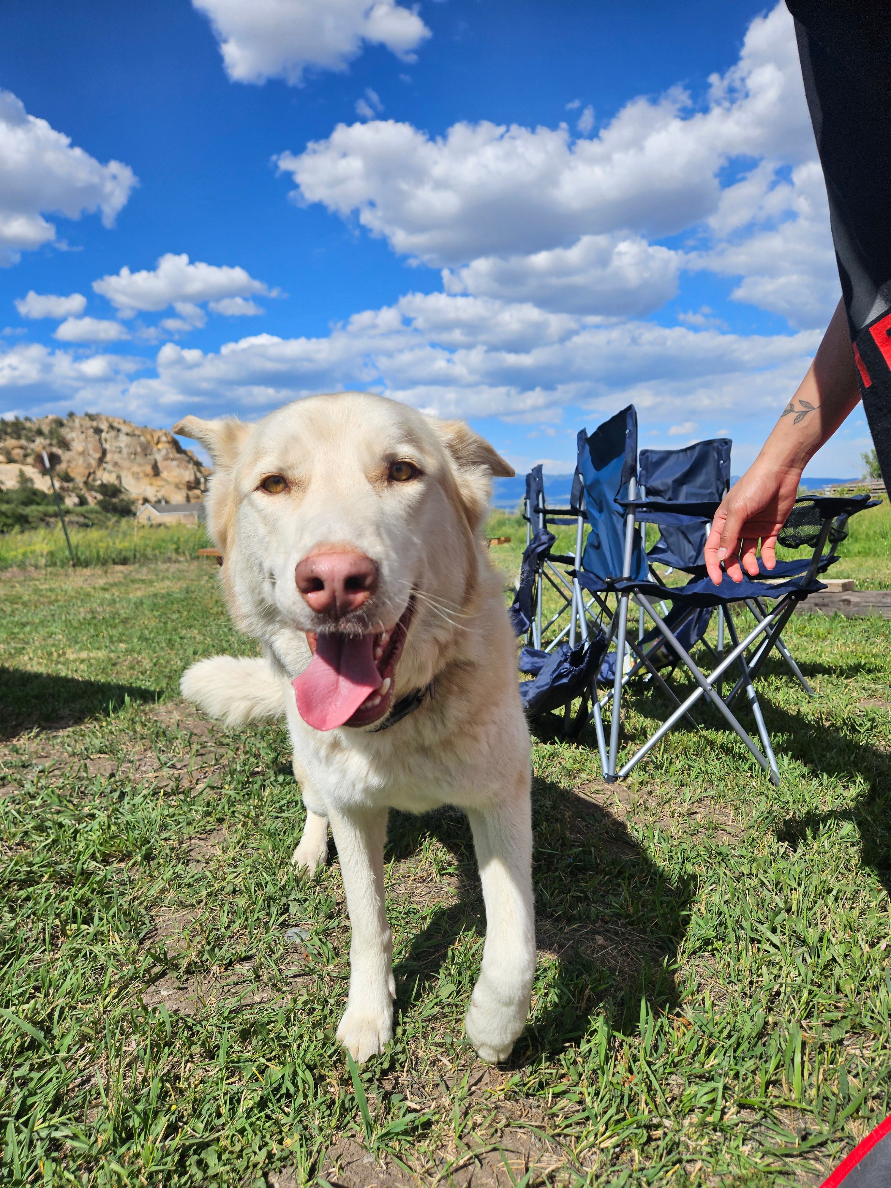 David (campground manager)