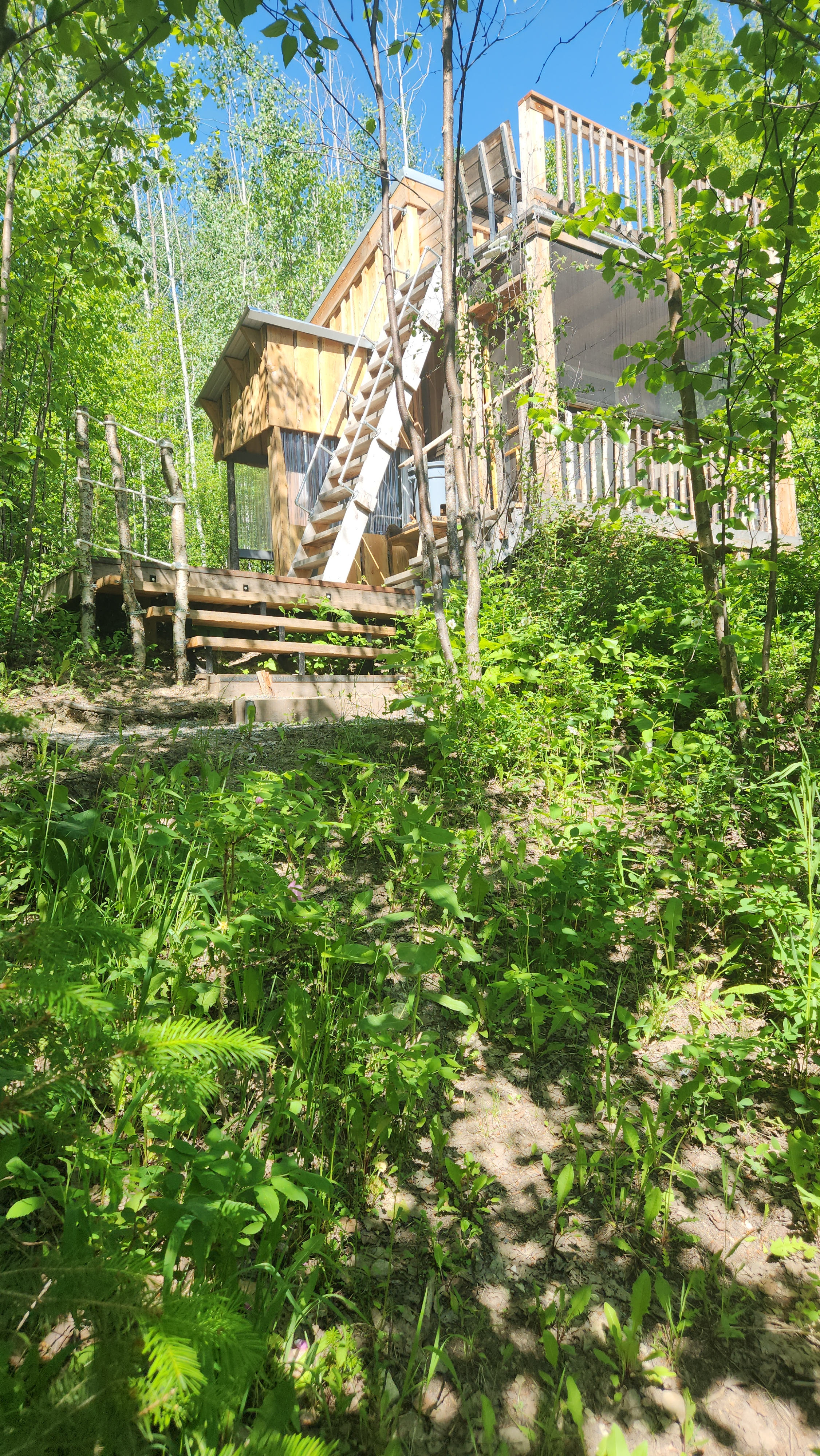 Moonraker Treehouse & Cabins