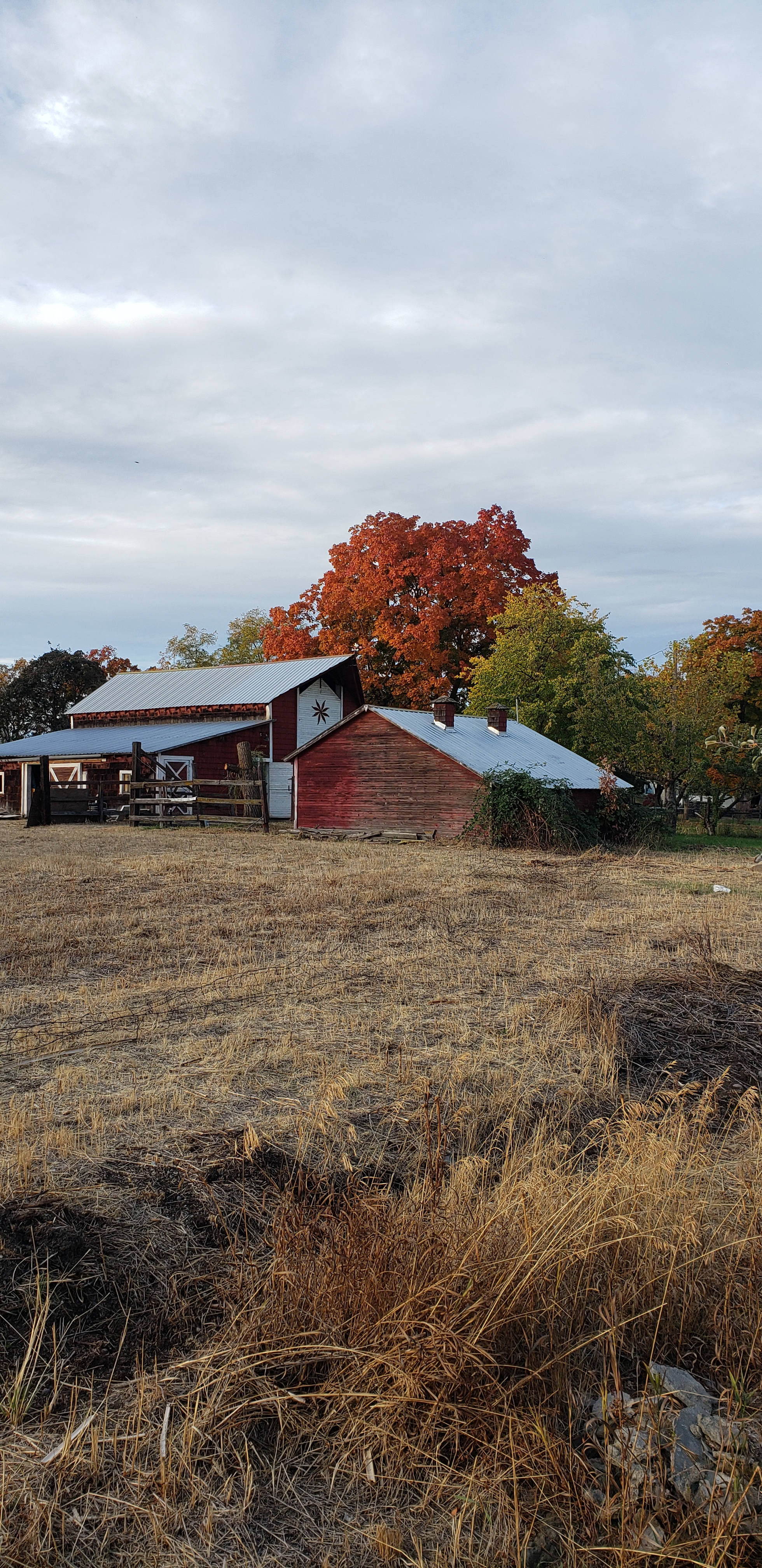 The Ol' Woodruff Estate