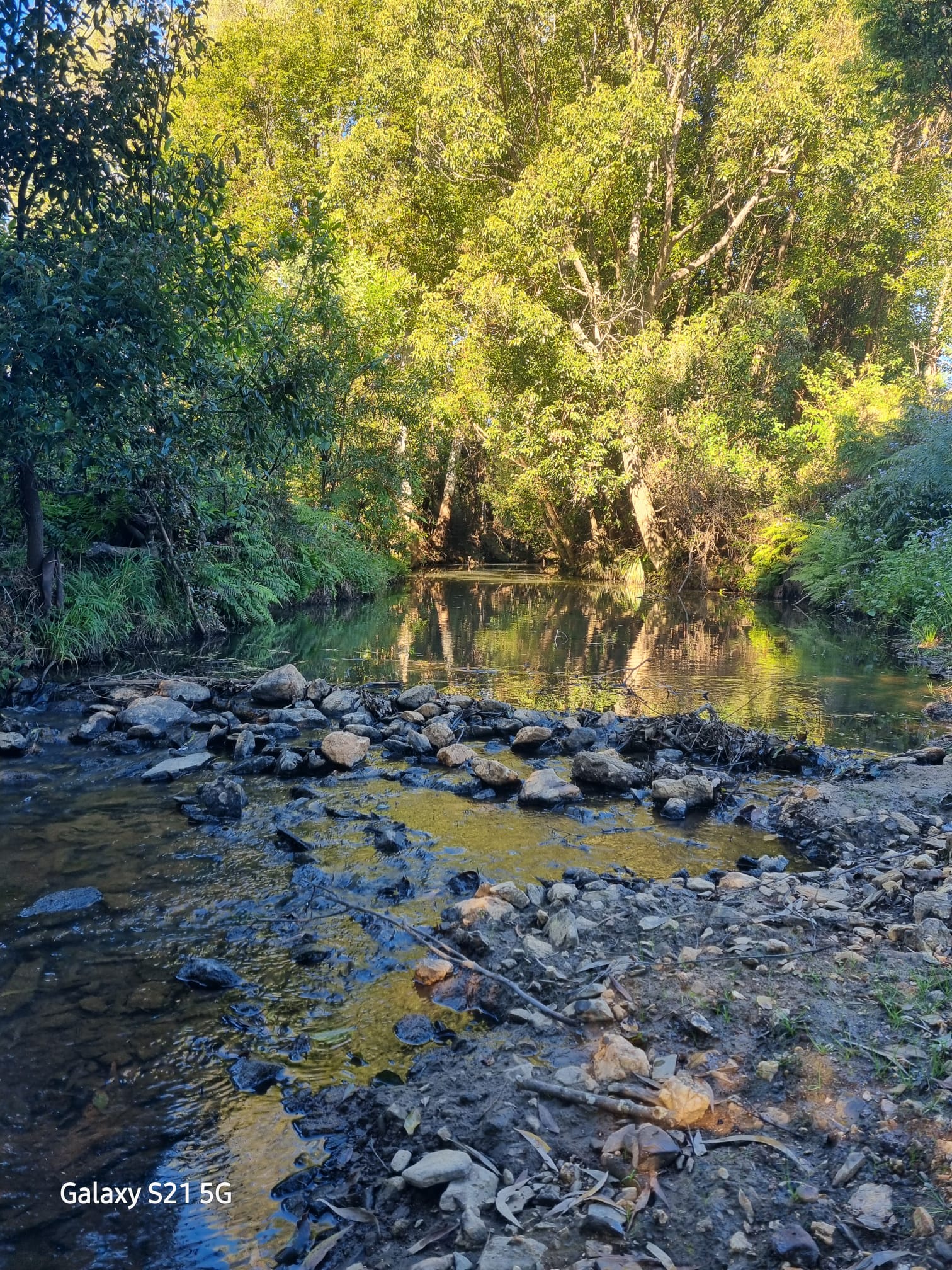 Sandycreek Homestead