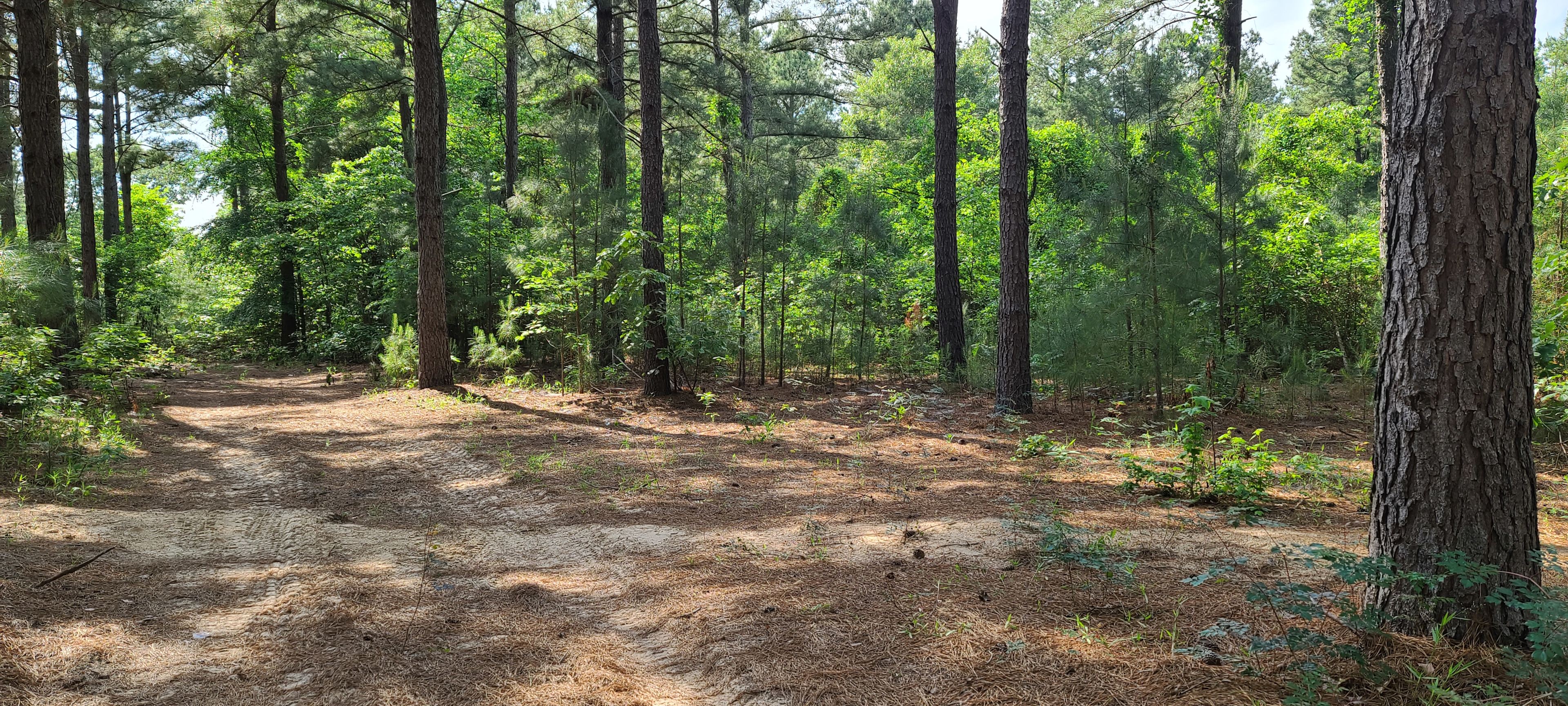 Rustic Trails Texas LLC - Jail