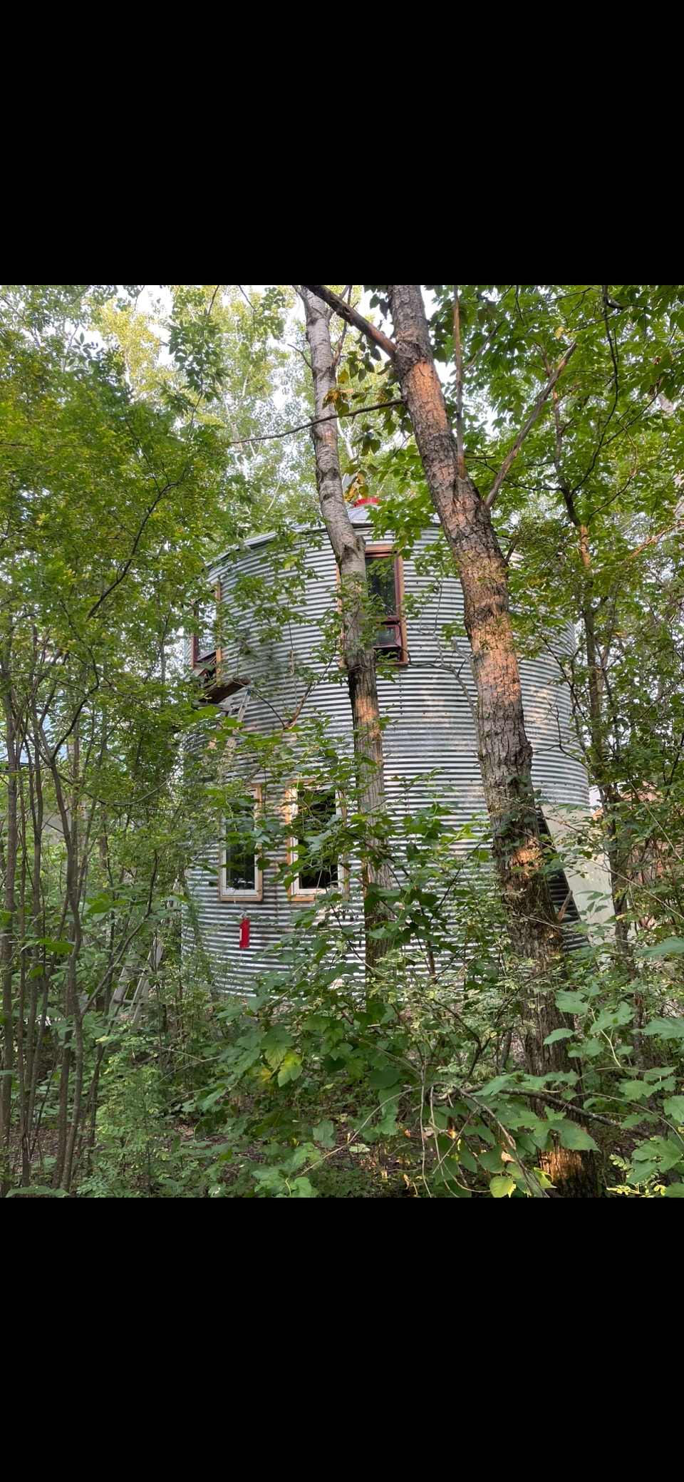 The converted grain bin is nestled in a bluff of trees