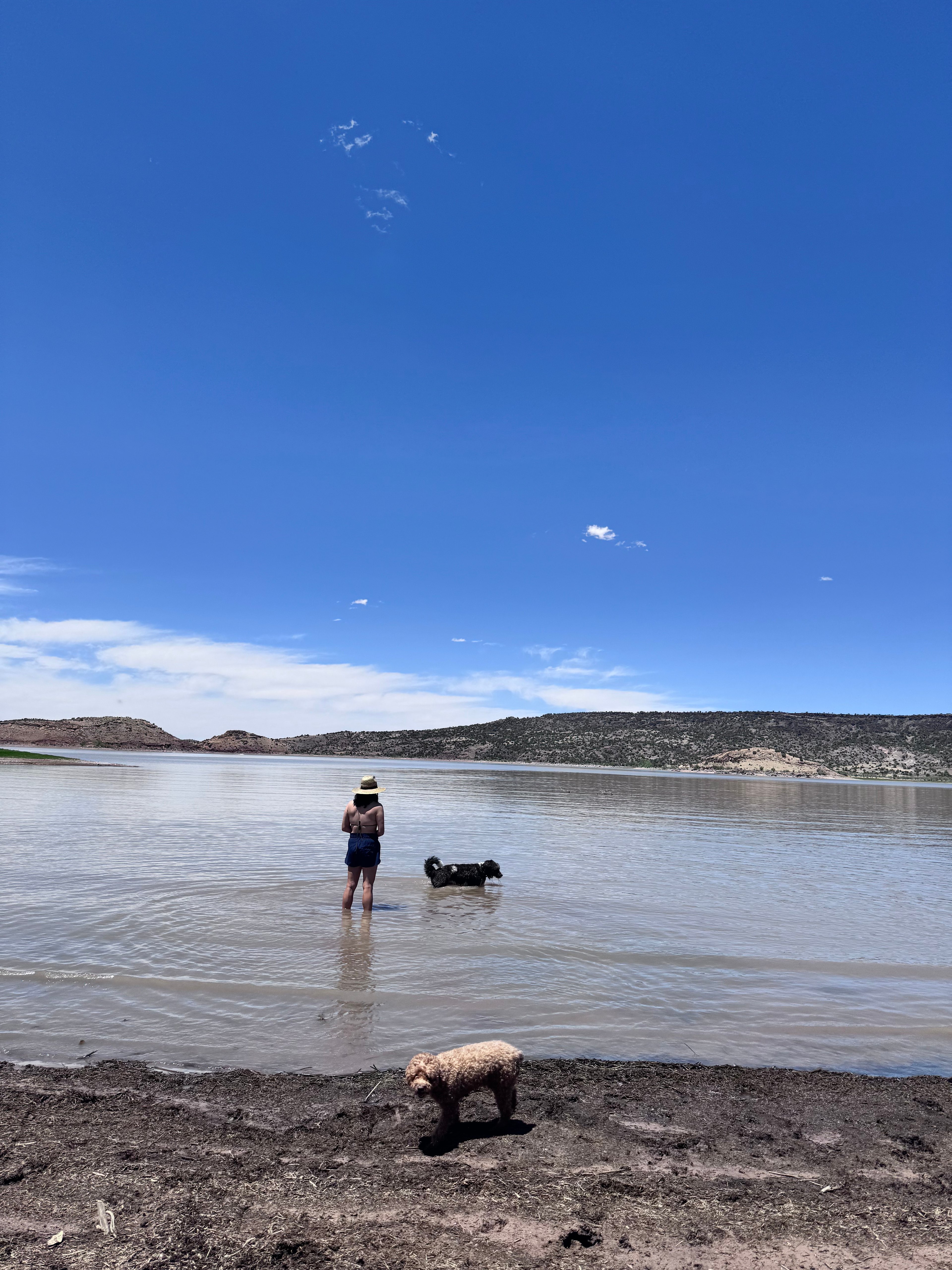 1 hr to Lyman Lake, perfect spot to fish, kayak, paddleboard, etc. 