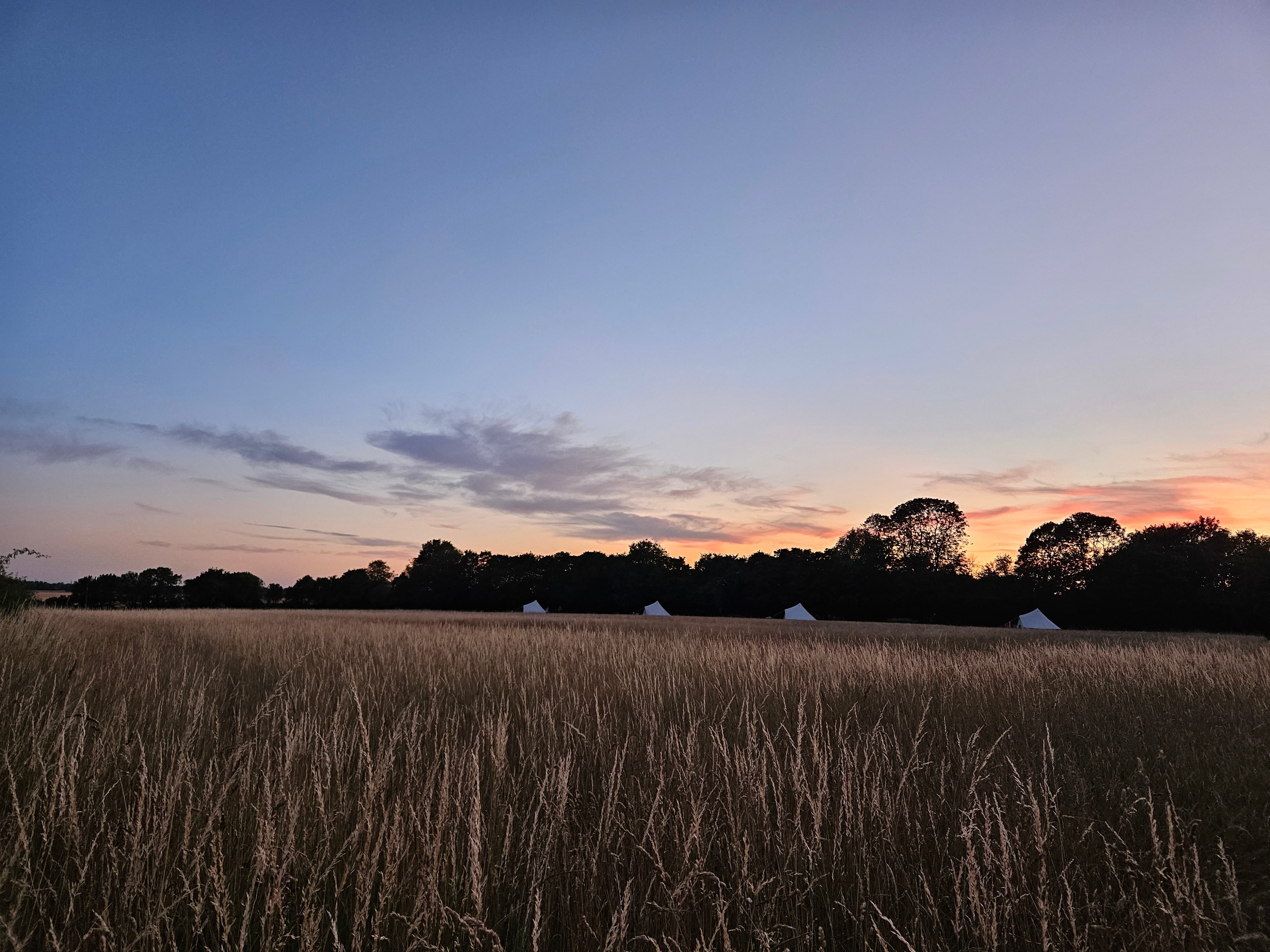 Readers Field Glamping-North Essex
