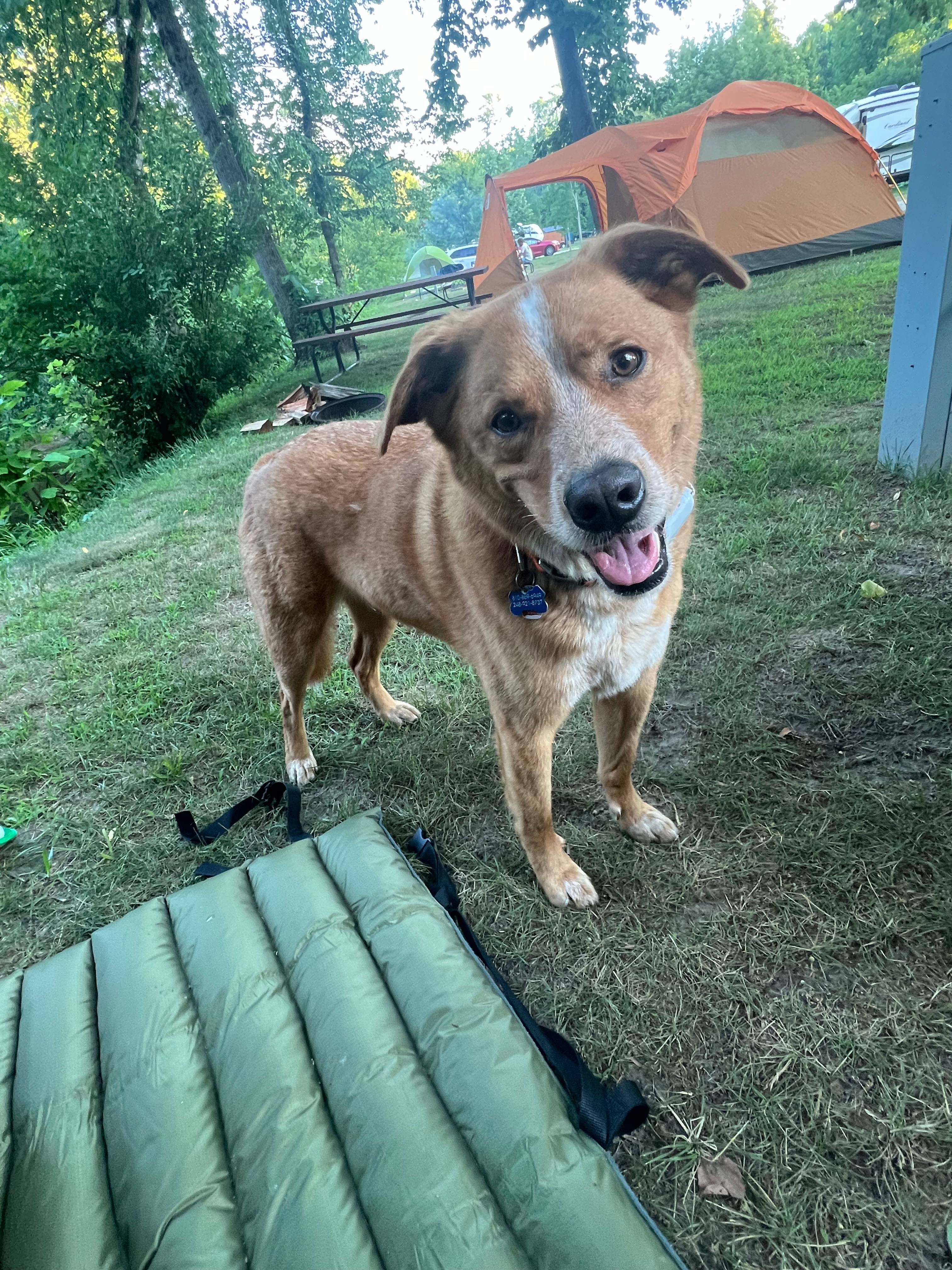 Black River Trails Campground