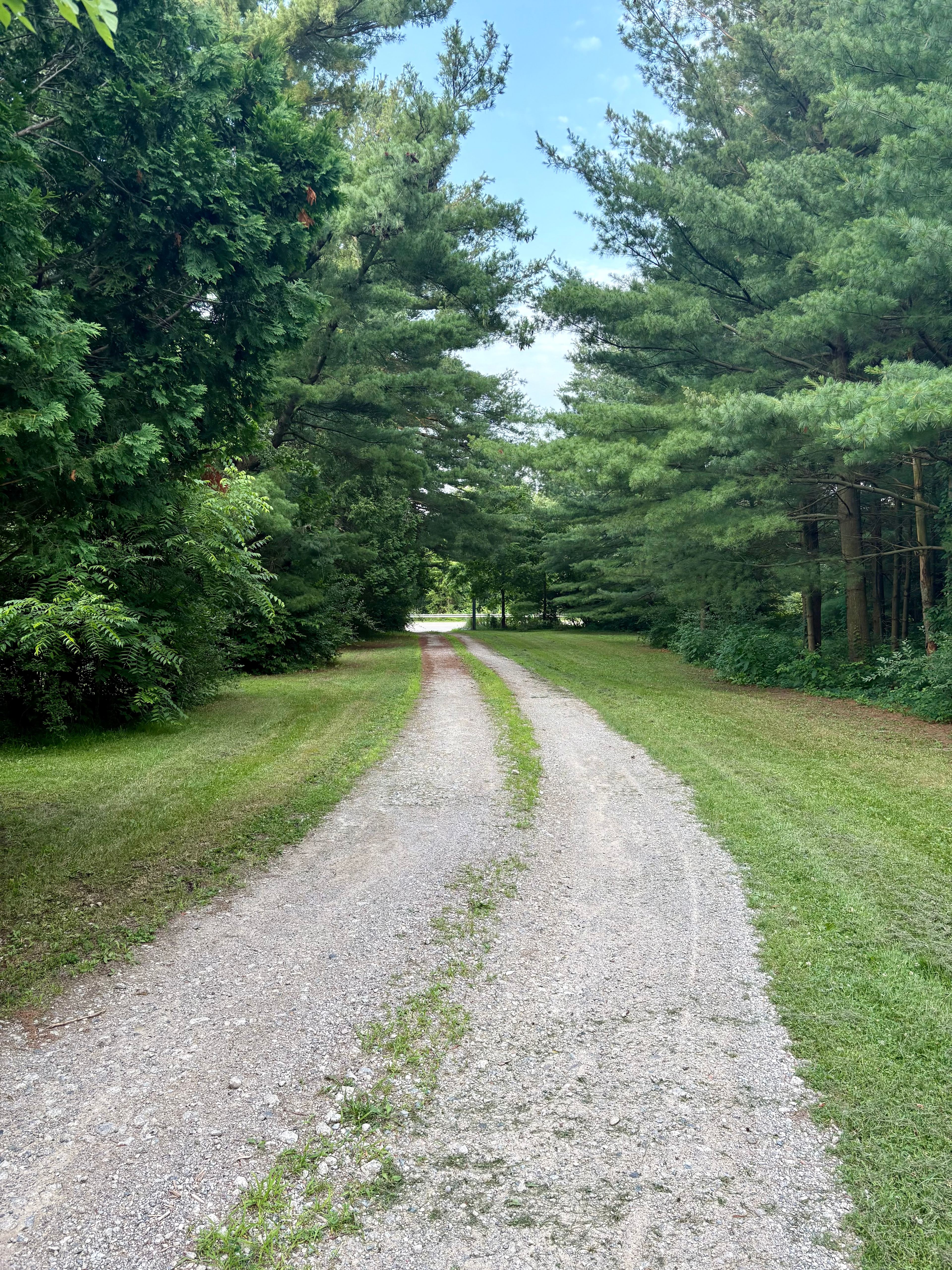 Entrance to farm off Dixie.