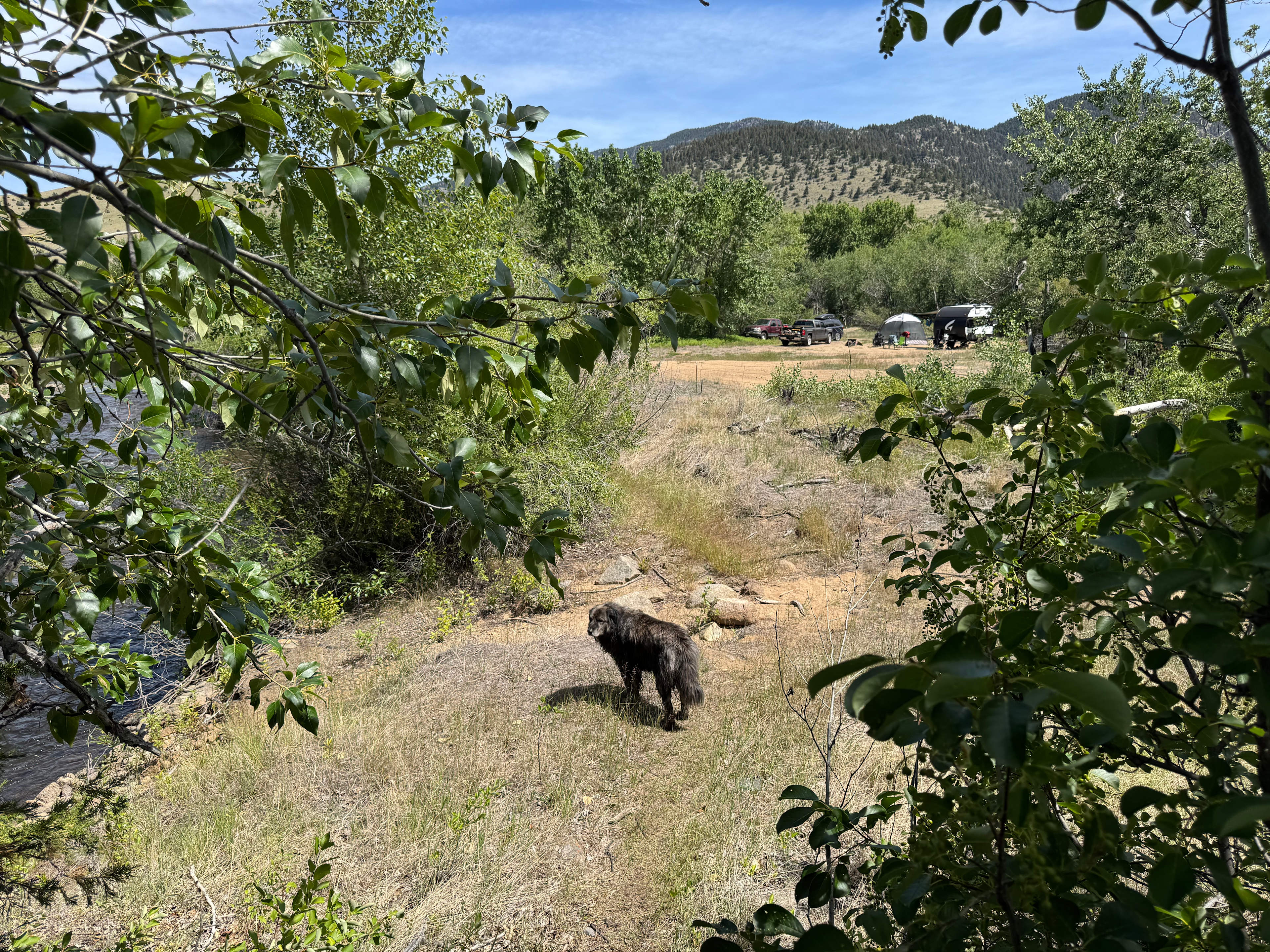 White Bridge Lane Private Campsite