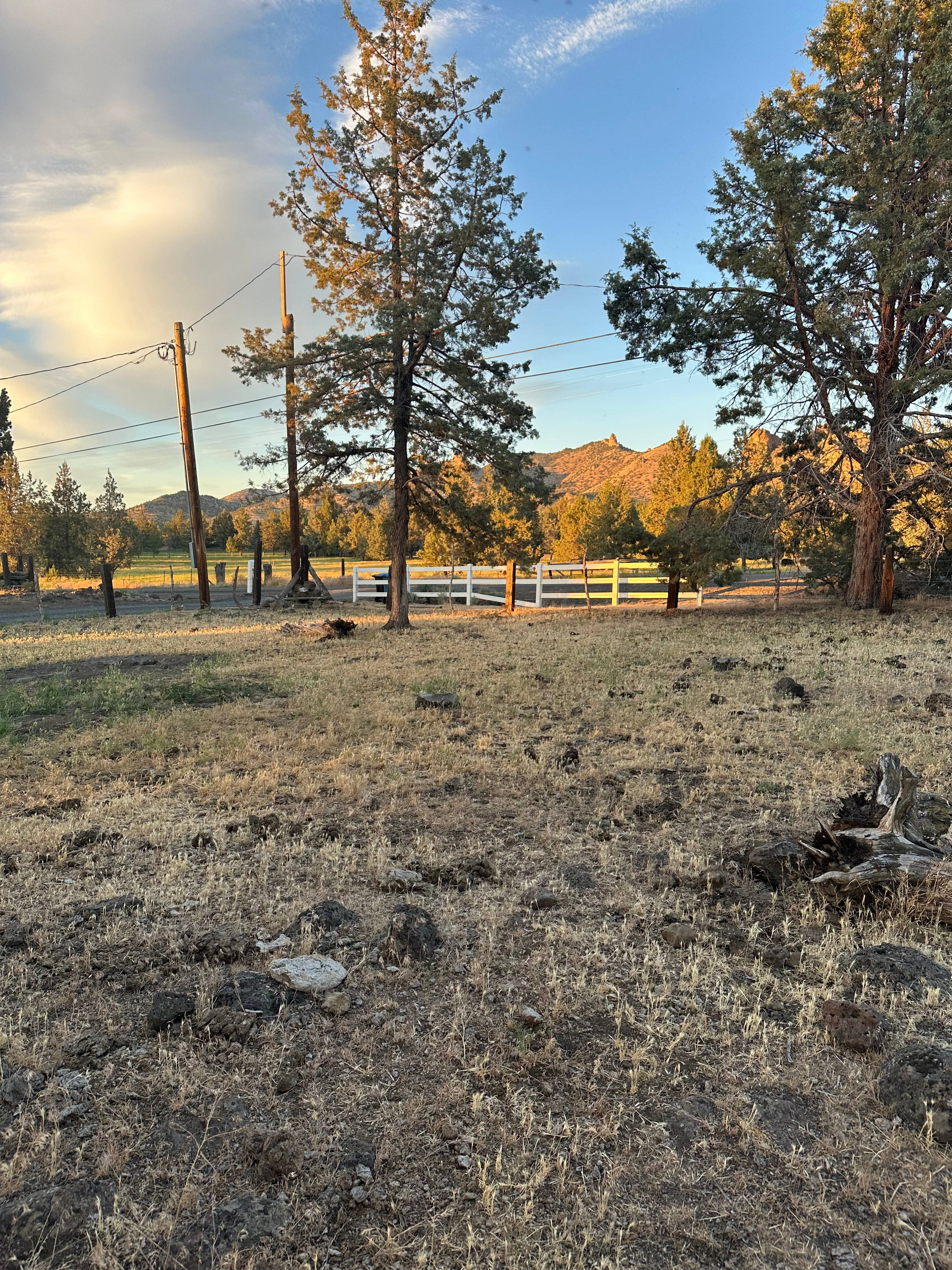 Juniper Ridge