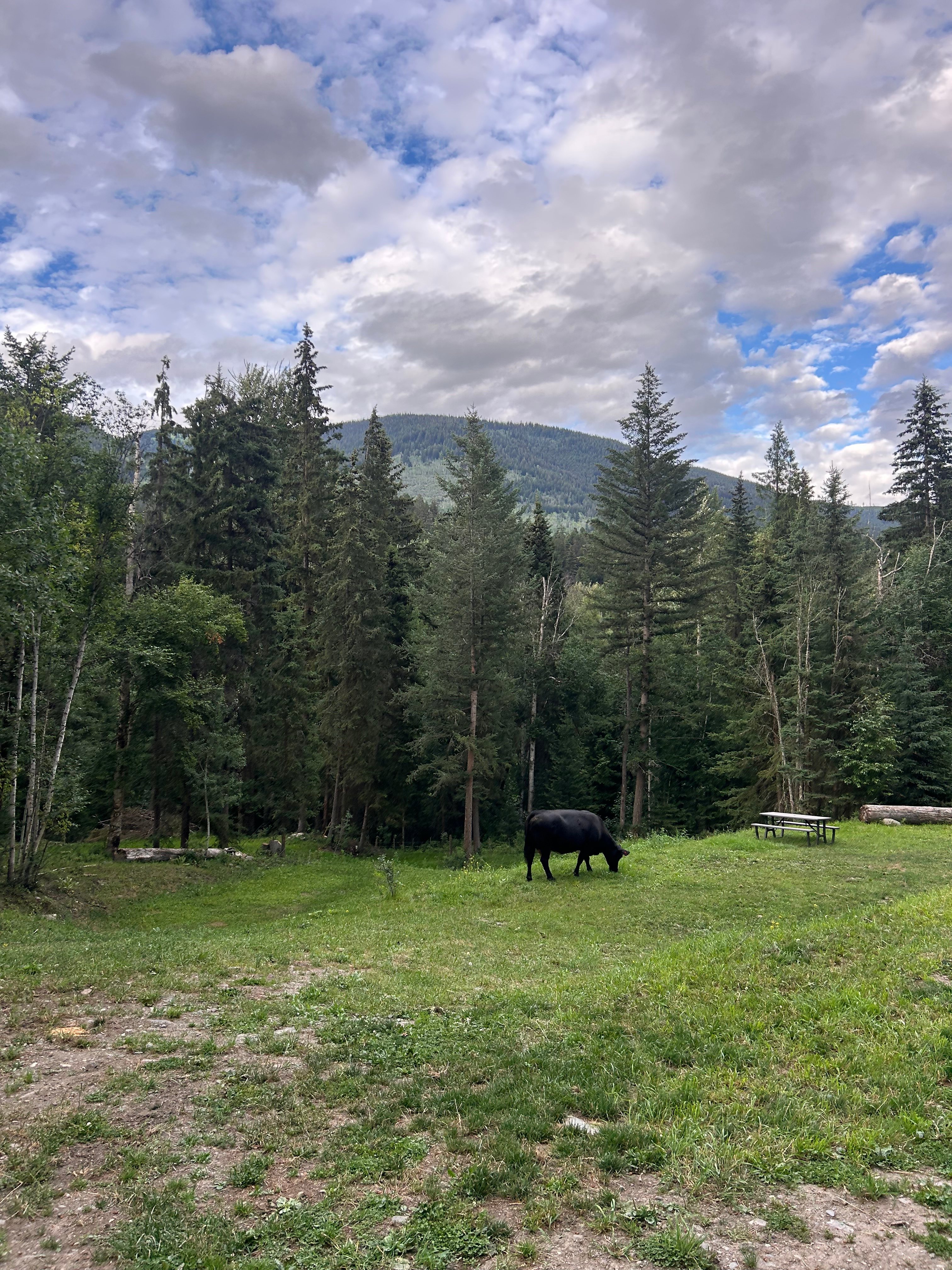 Triple Barrel Ranch