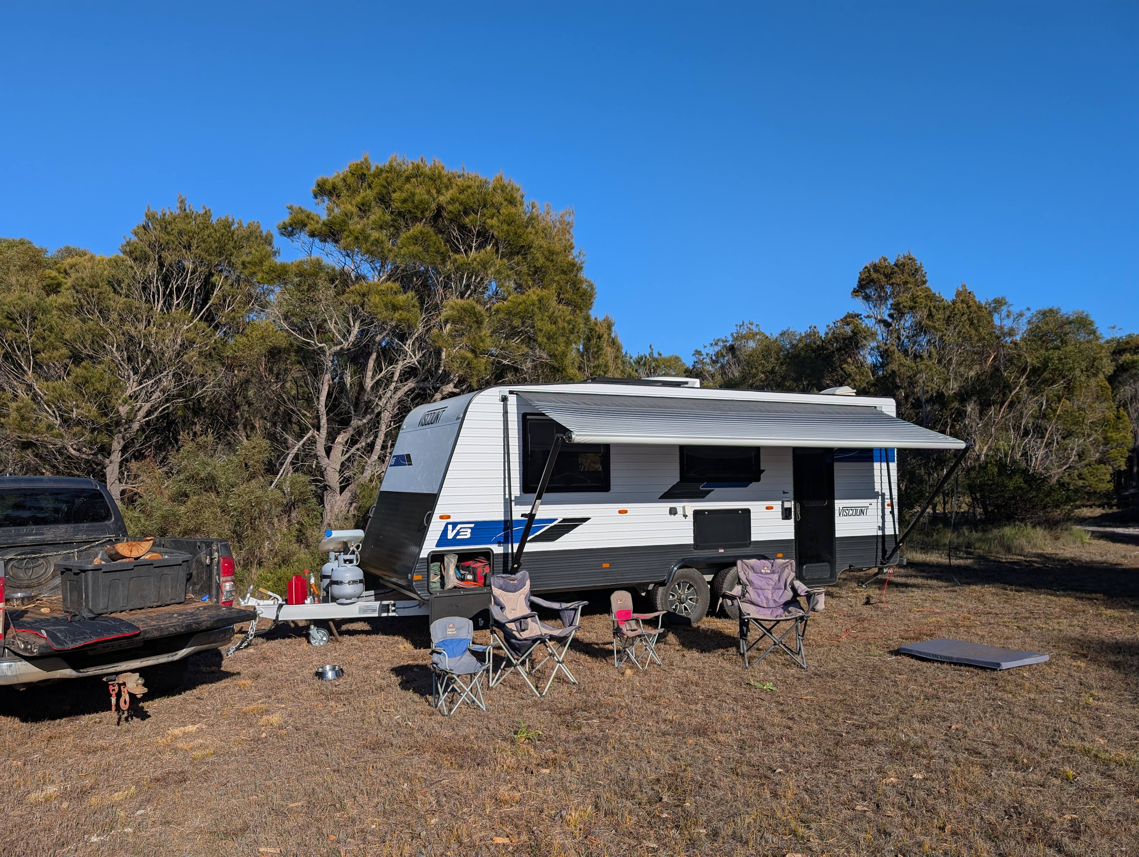 Sheoak Woodland By The Sea