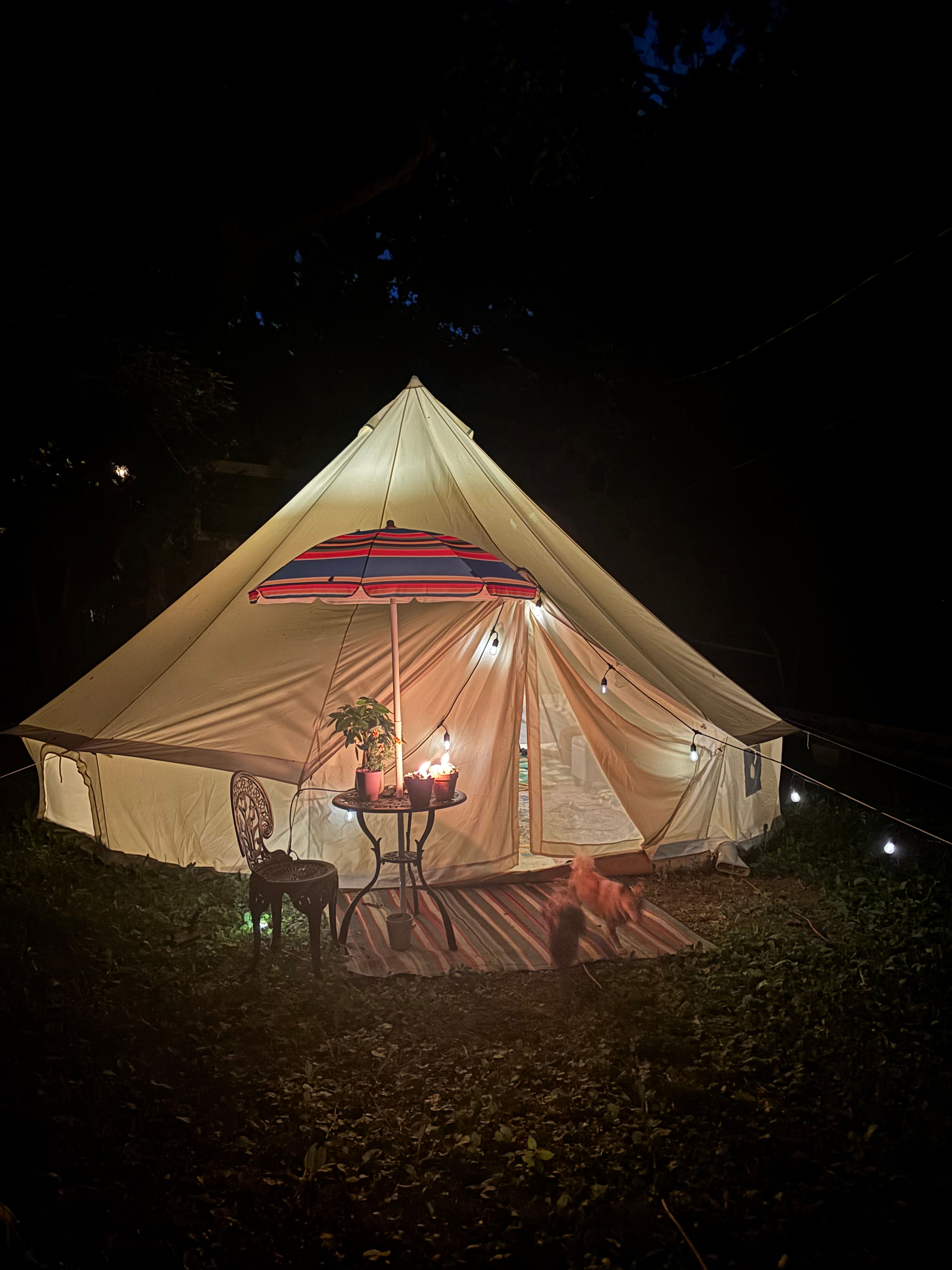 Urban Glamping