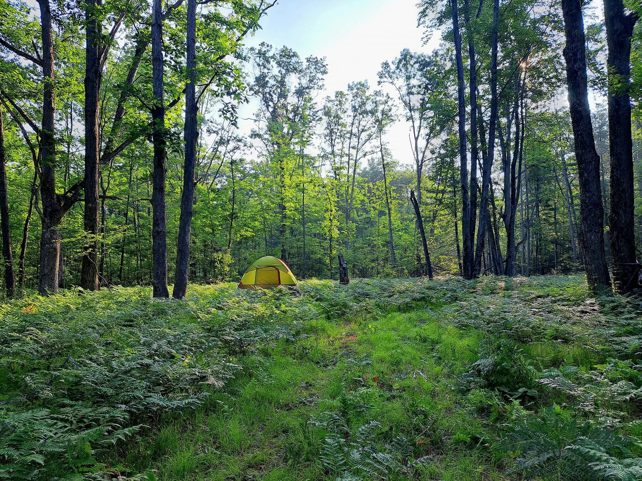 Tent site