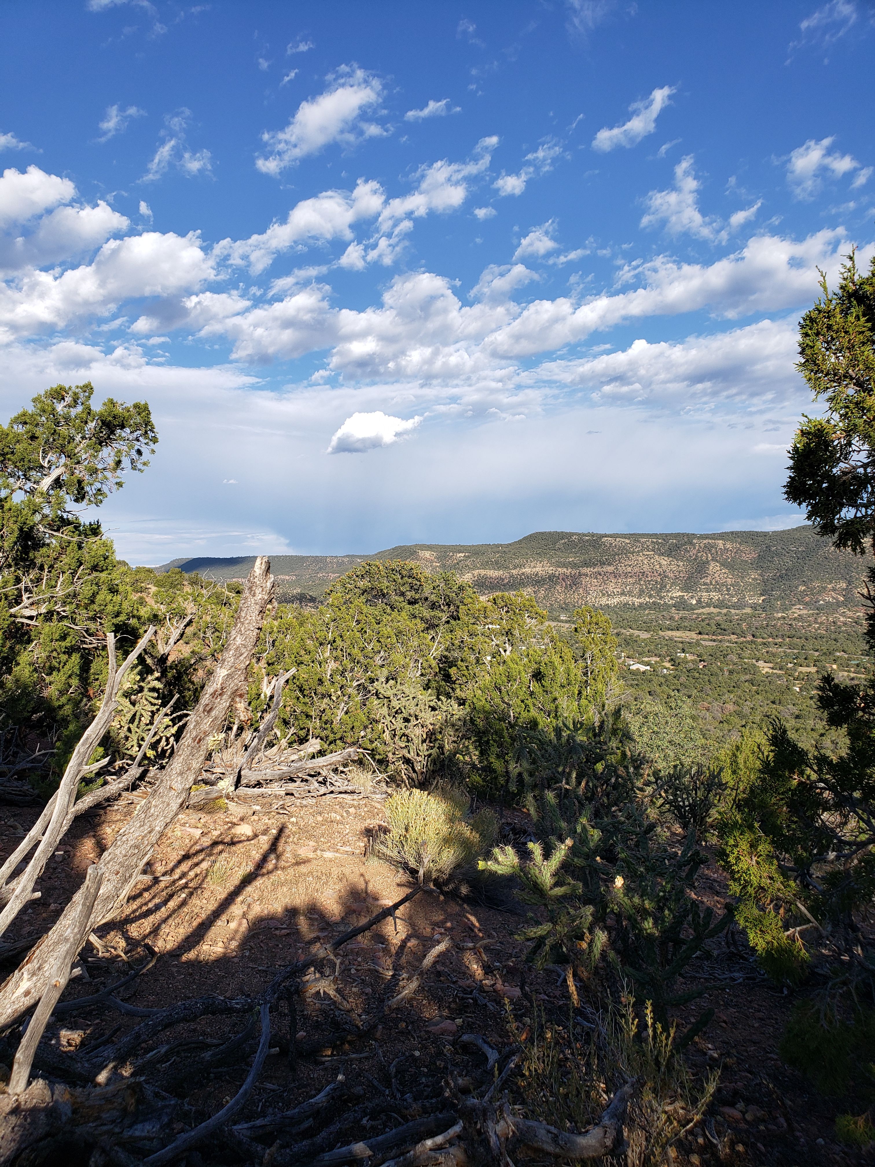 Ridgetop Oasis Private Tent Site