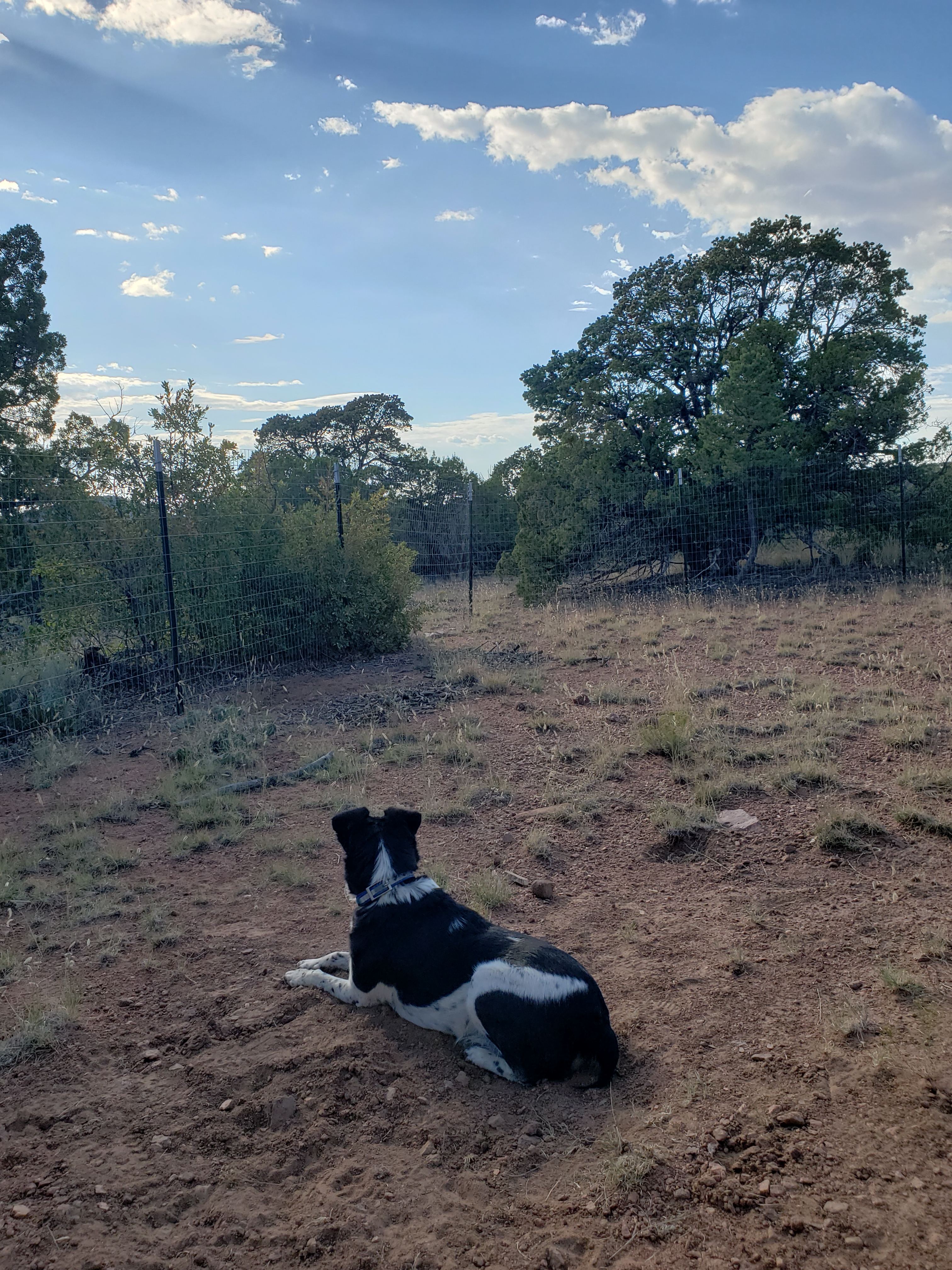 Ridgetop Oasis Private Tent Site
