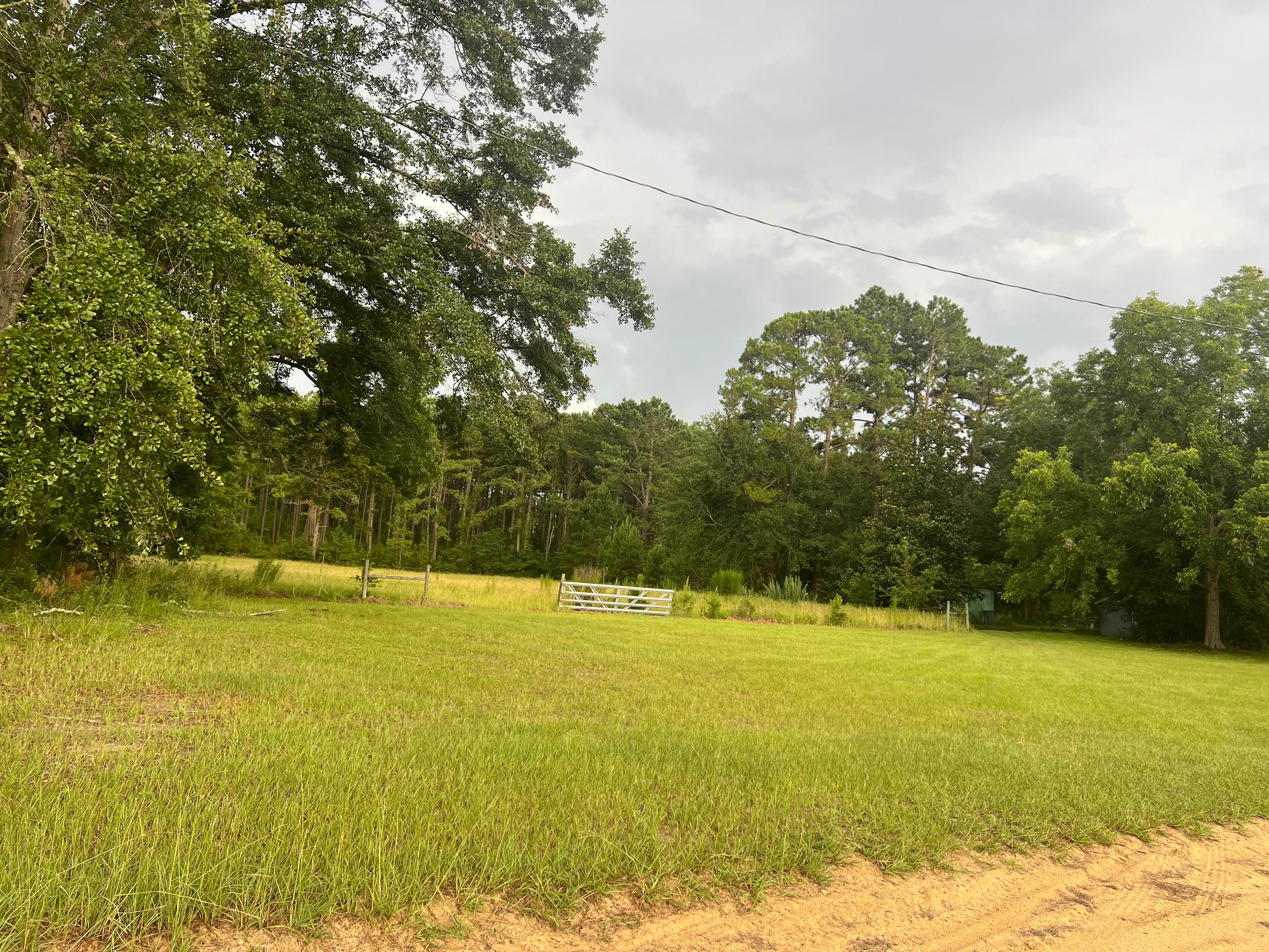 Hunny Meadows