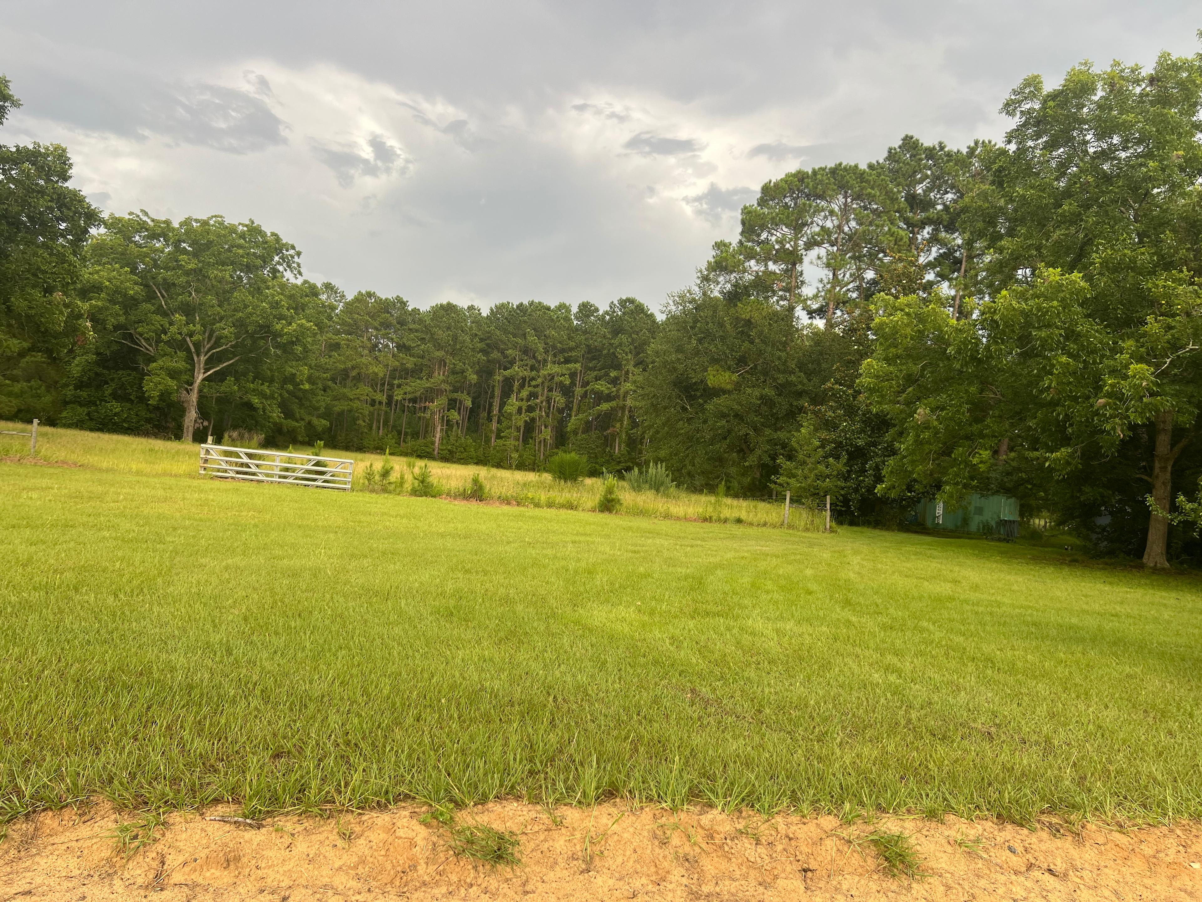 Hunny Meadows