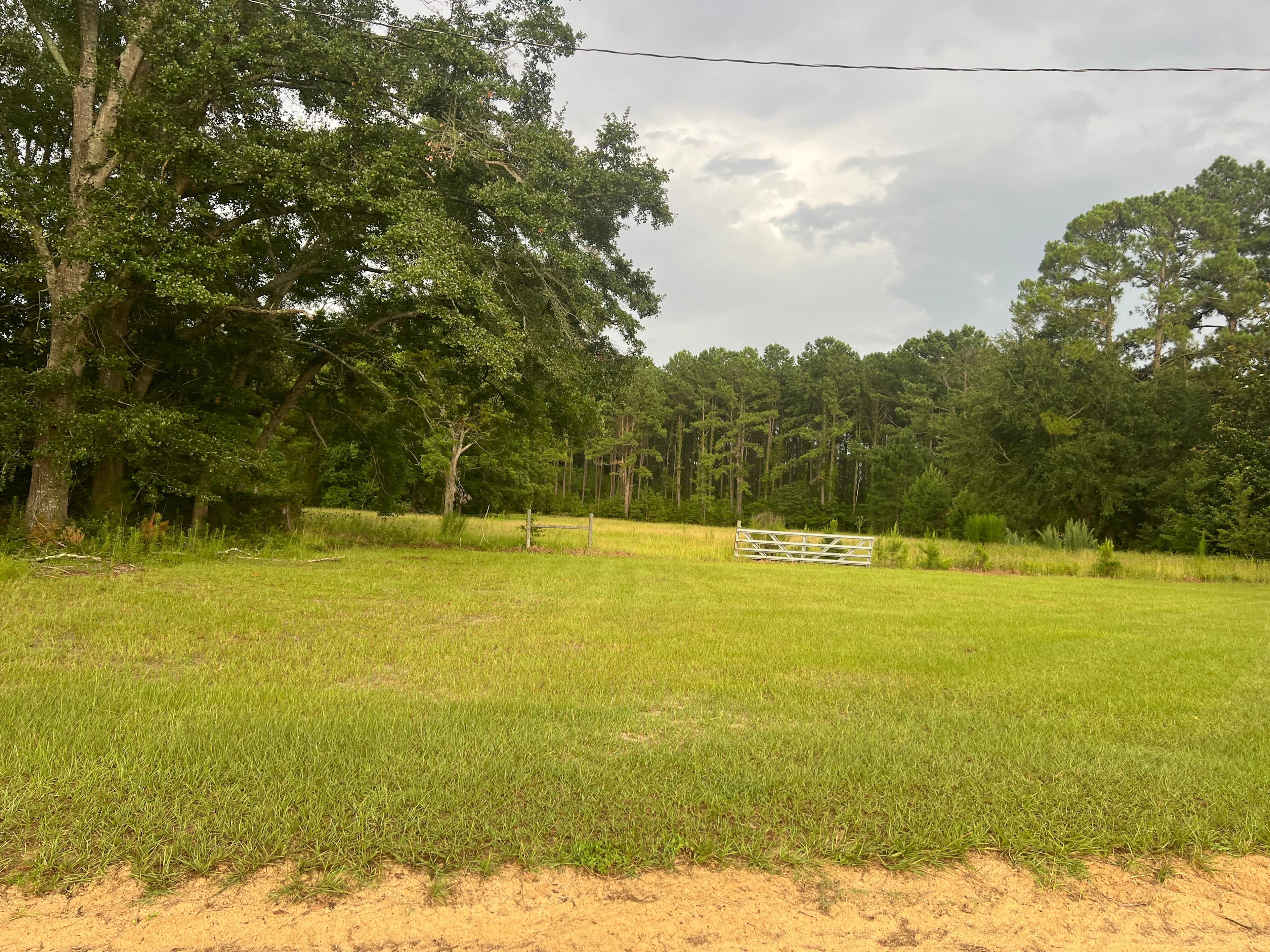 Hunny Meadows
