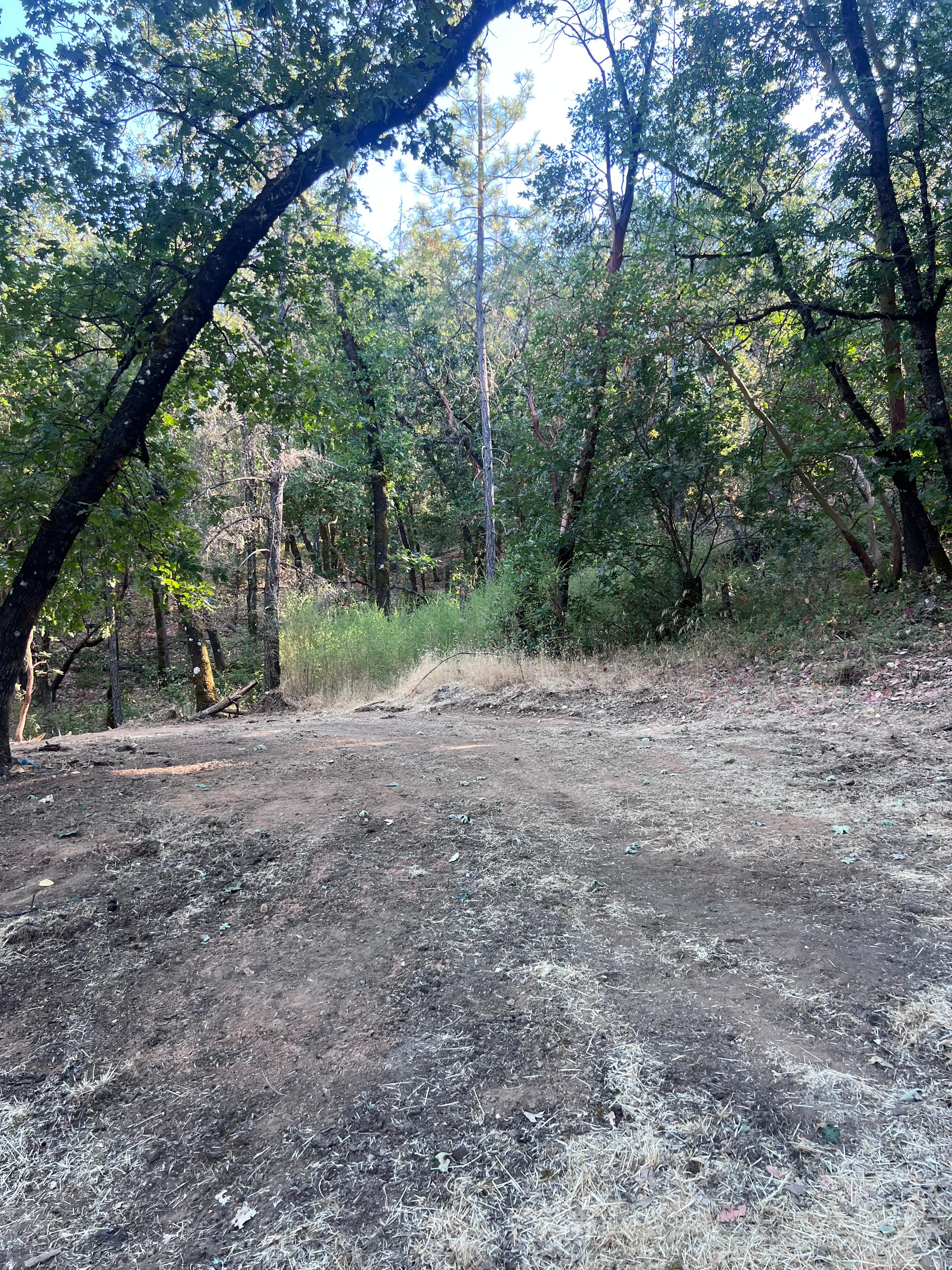 Cluckin’ Good Times