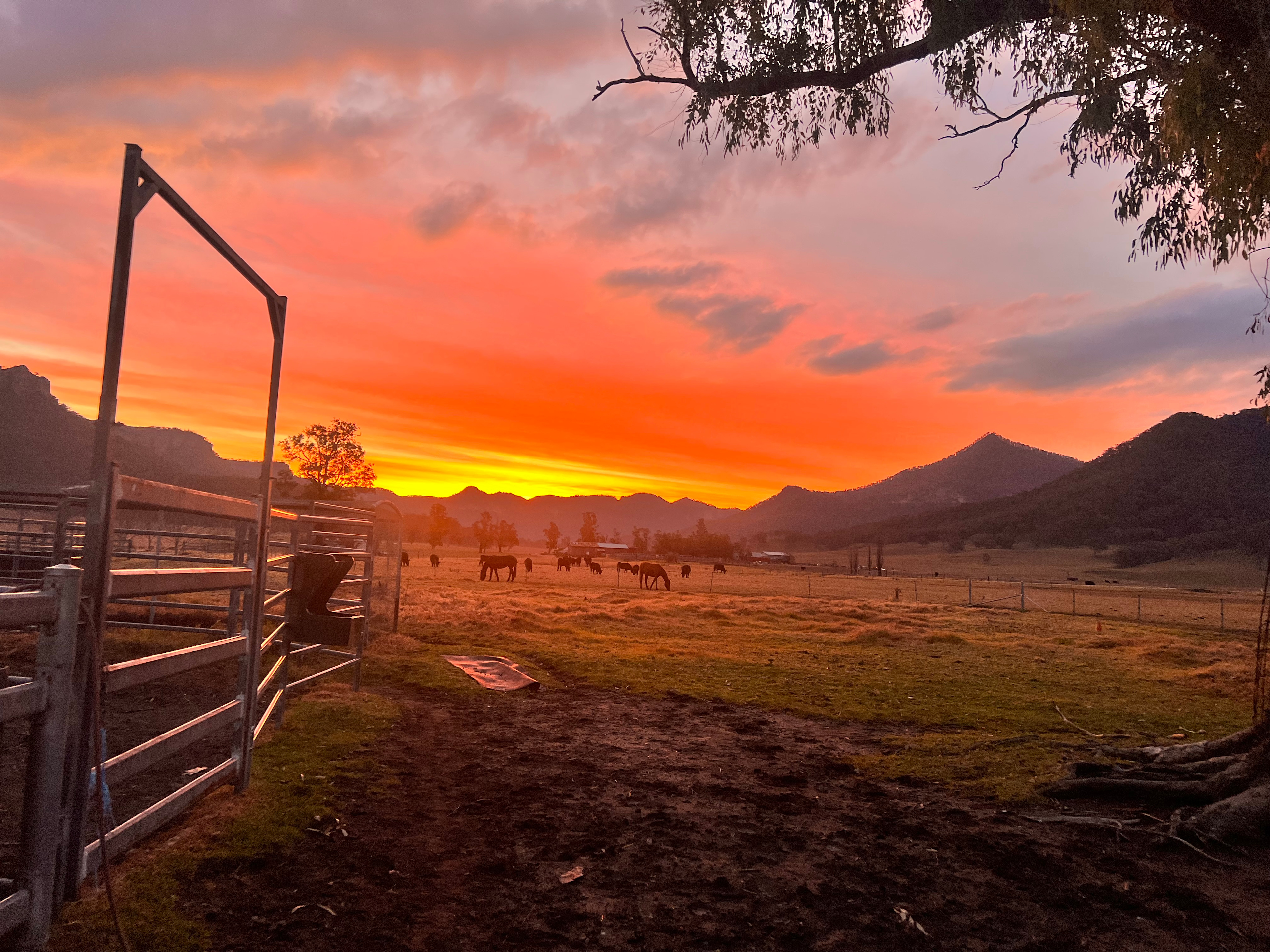 Canyon Country Camping, Glen Alice