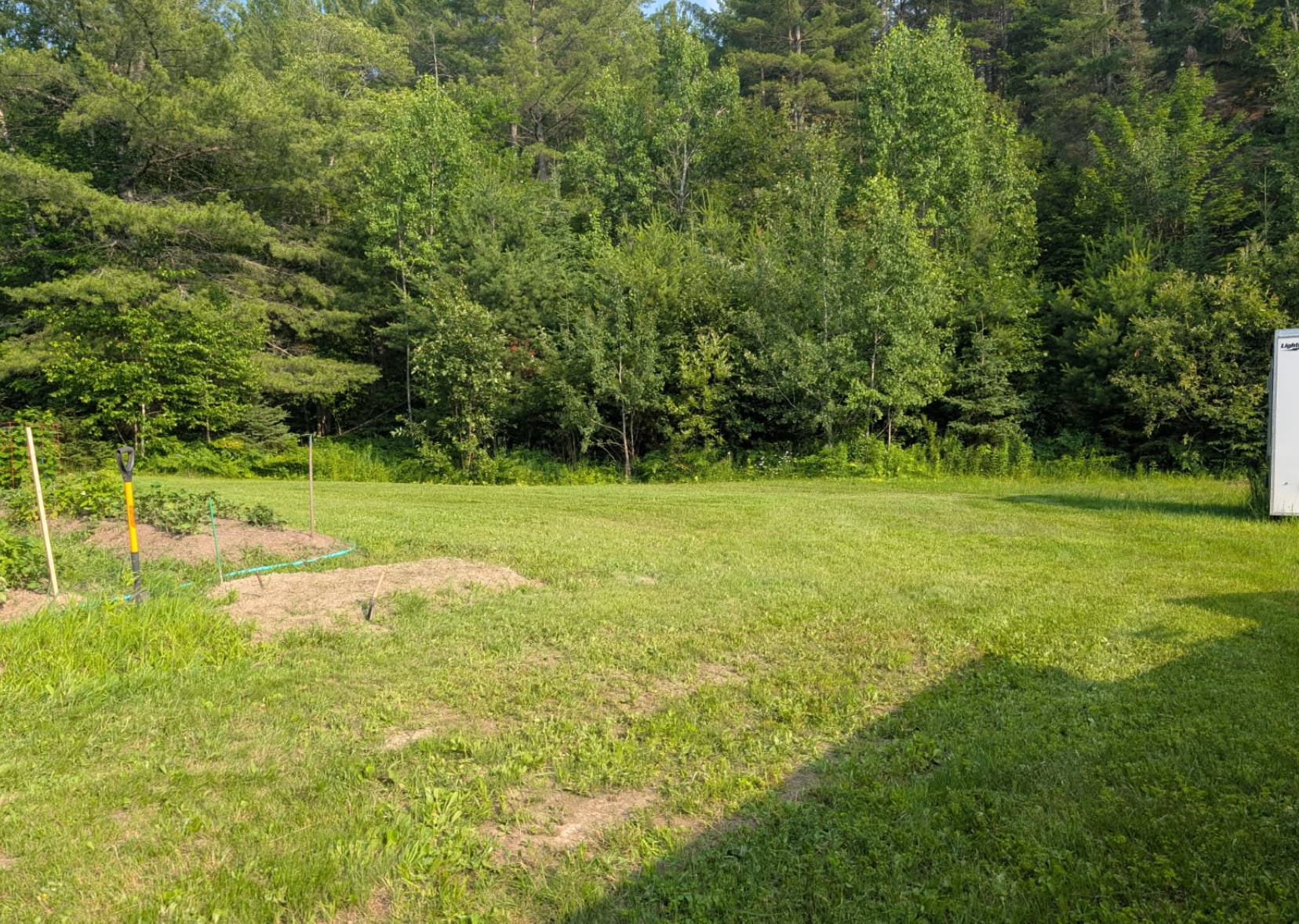 Suzie-Q's Homestead