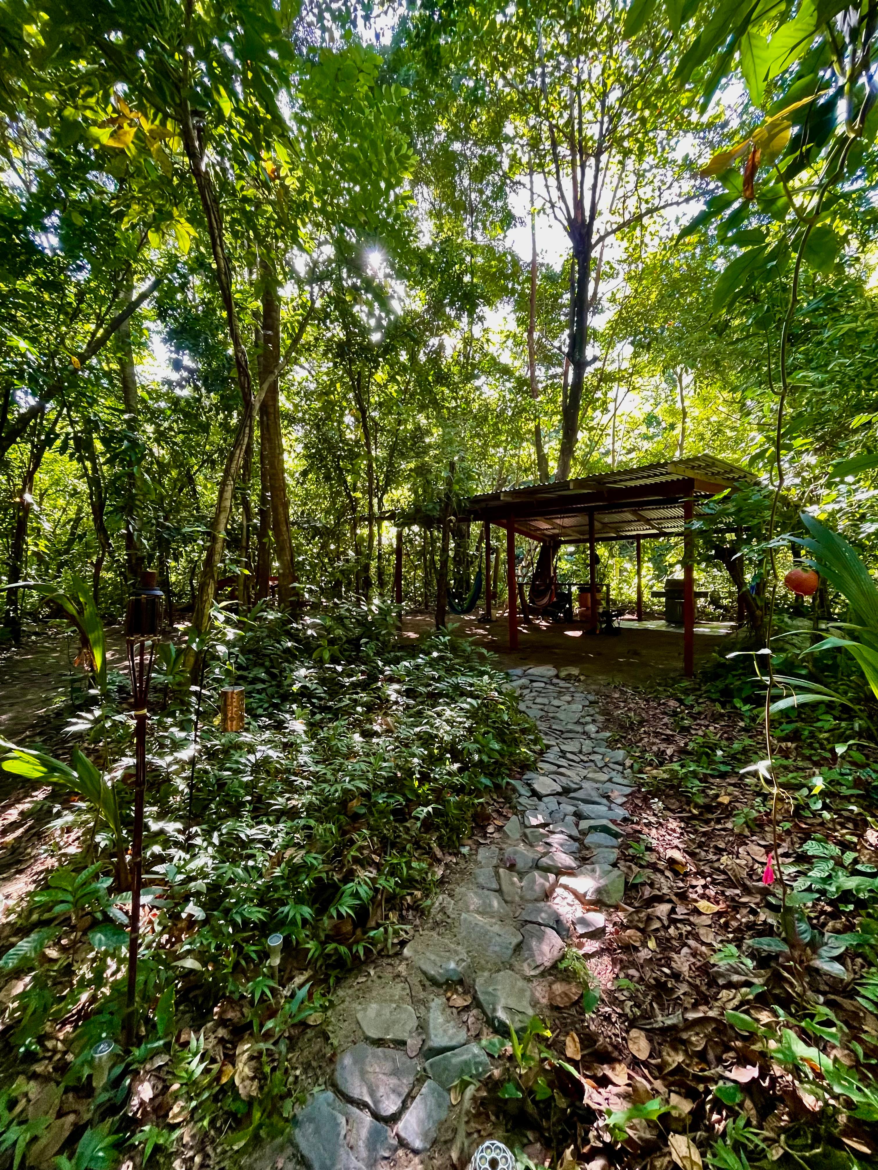 Finca Arabuko