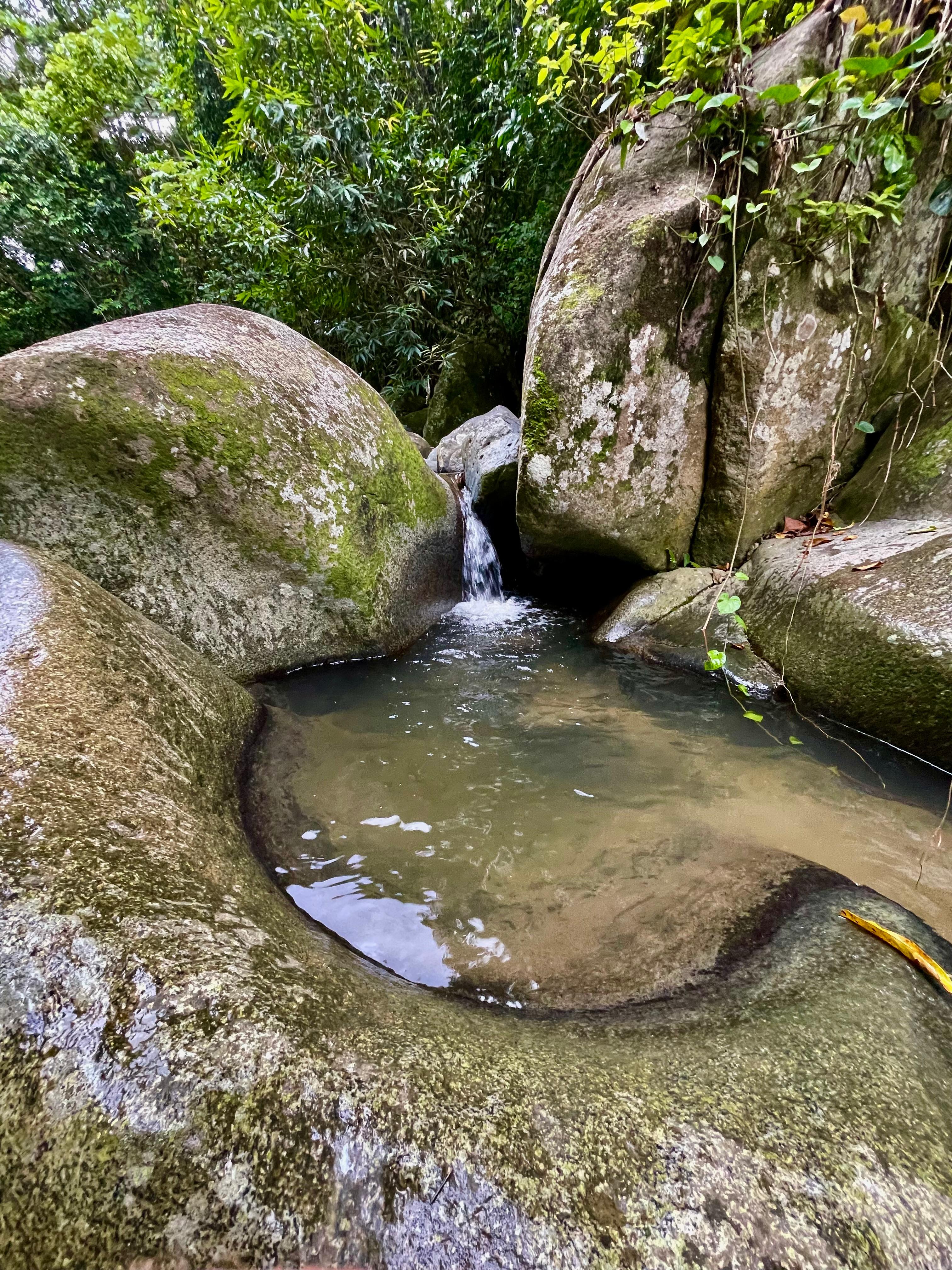 Finca Arabuko
