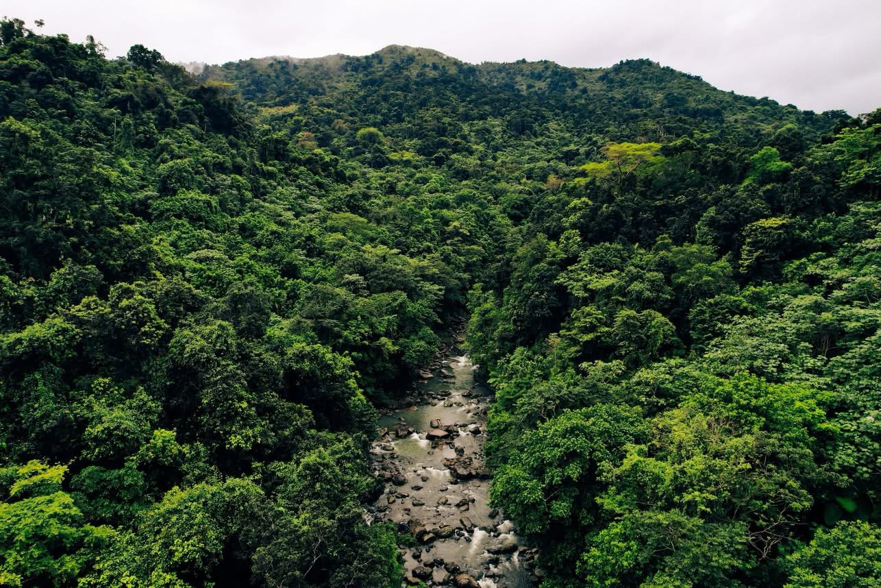 Finca Arabuko