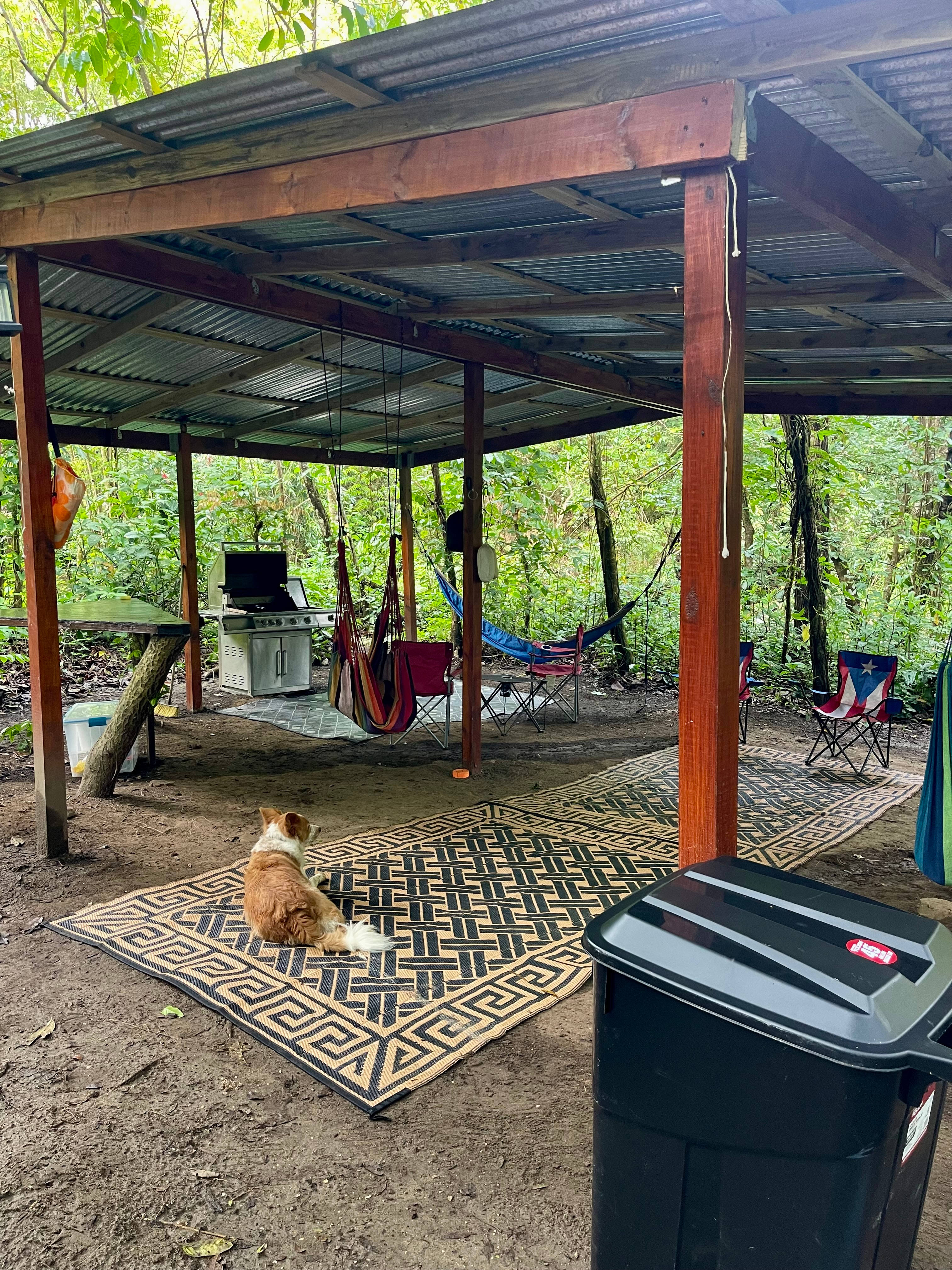 Finca Arabuko