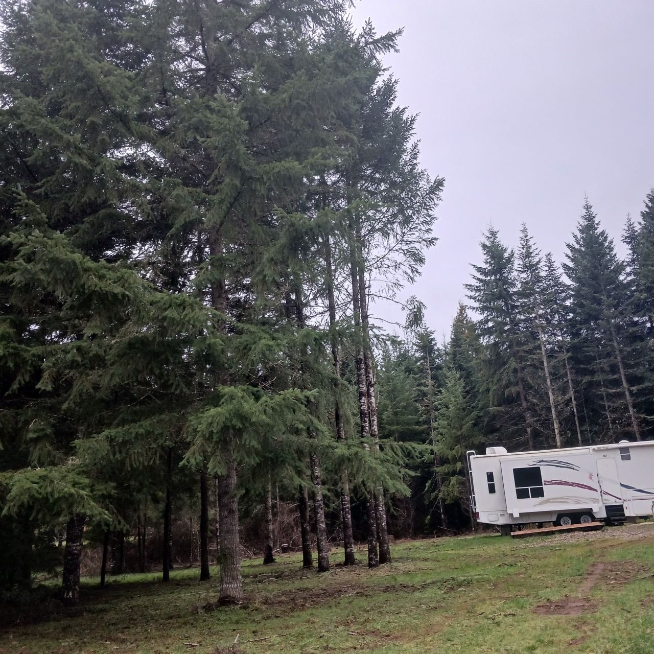 Indigenous Farm Camp