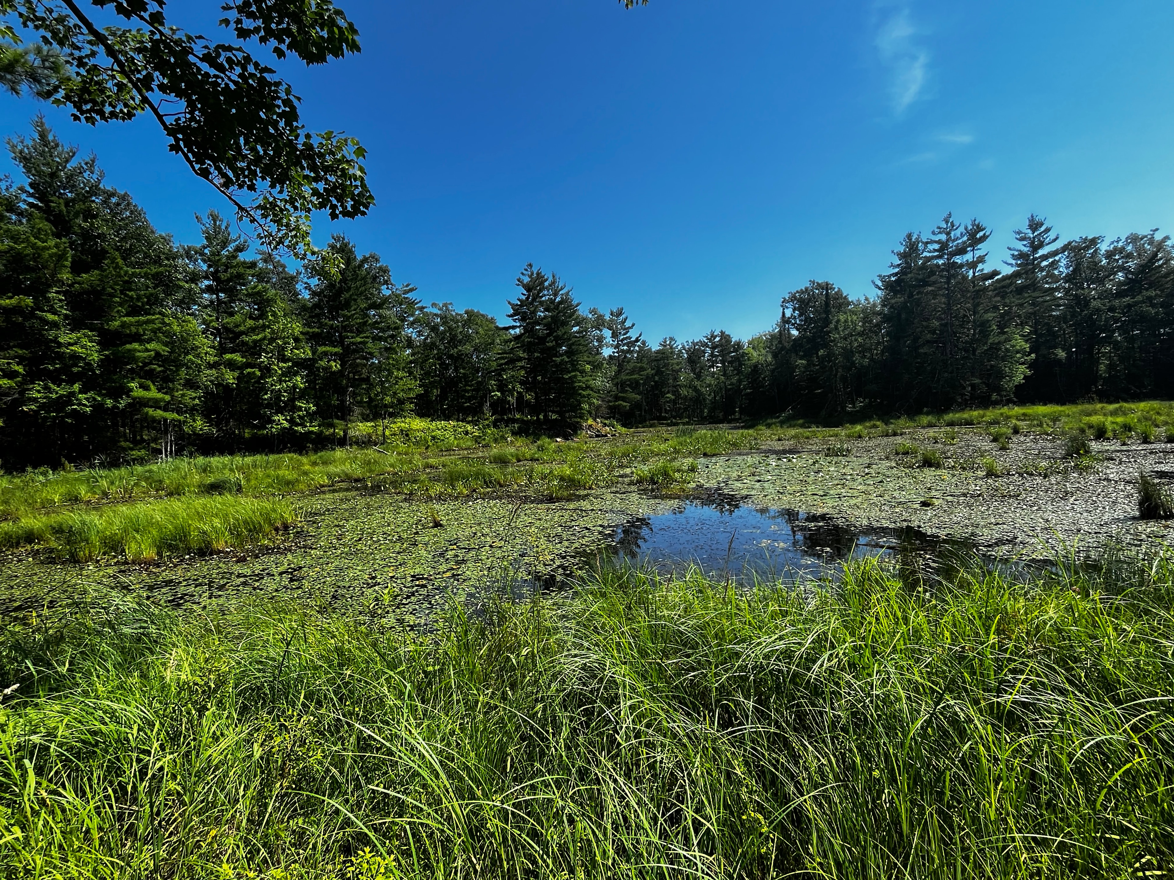 Healun Acres