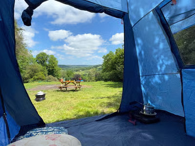 Camp Wild @ Burrow Hill Farm