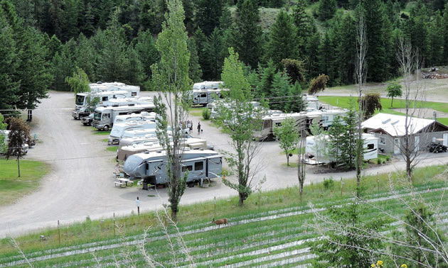 Twin Lakes Golf Course & RV