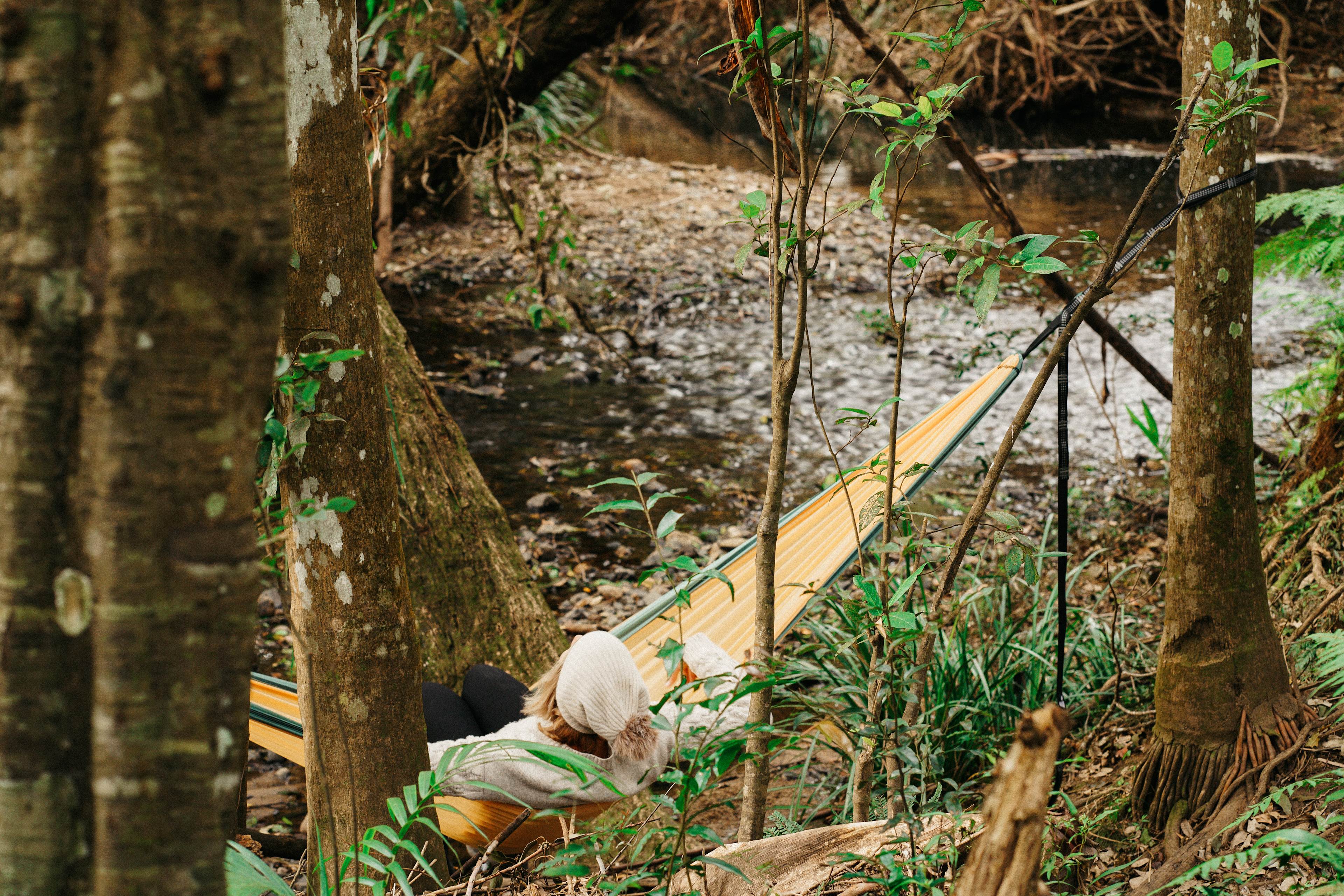 A Place To Call Home