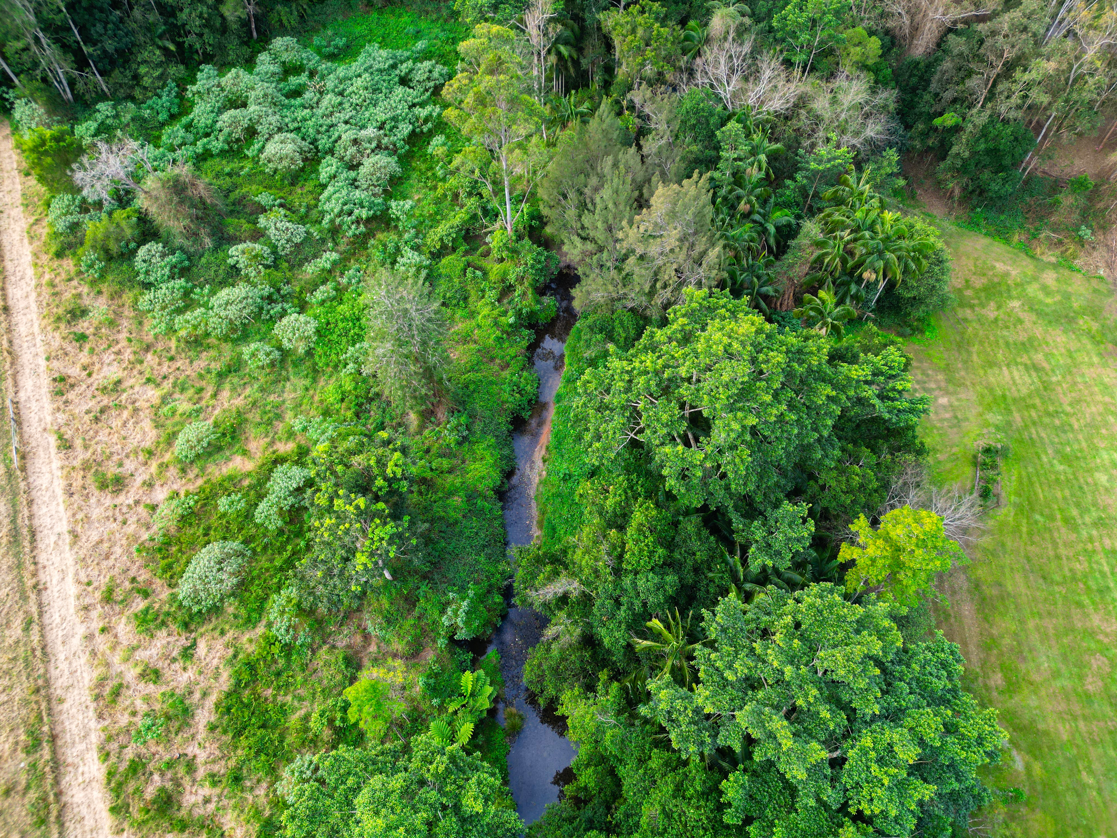 A Place To Call Home