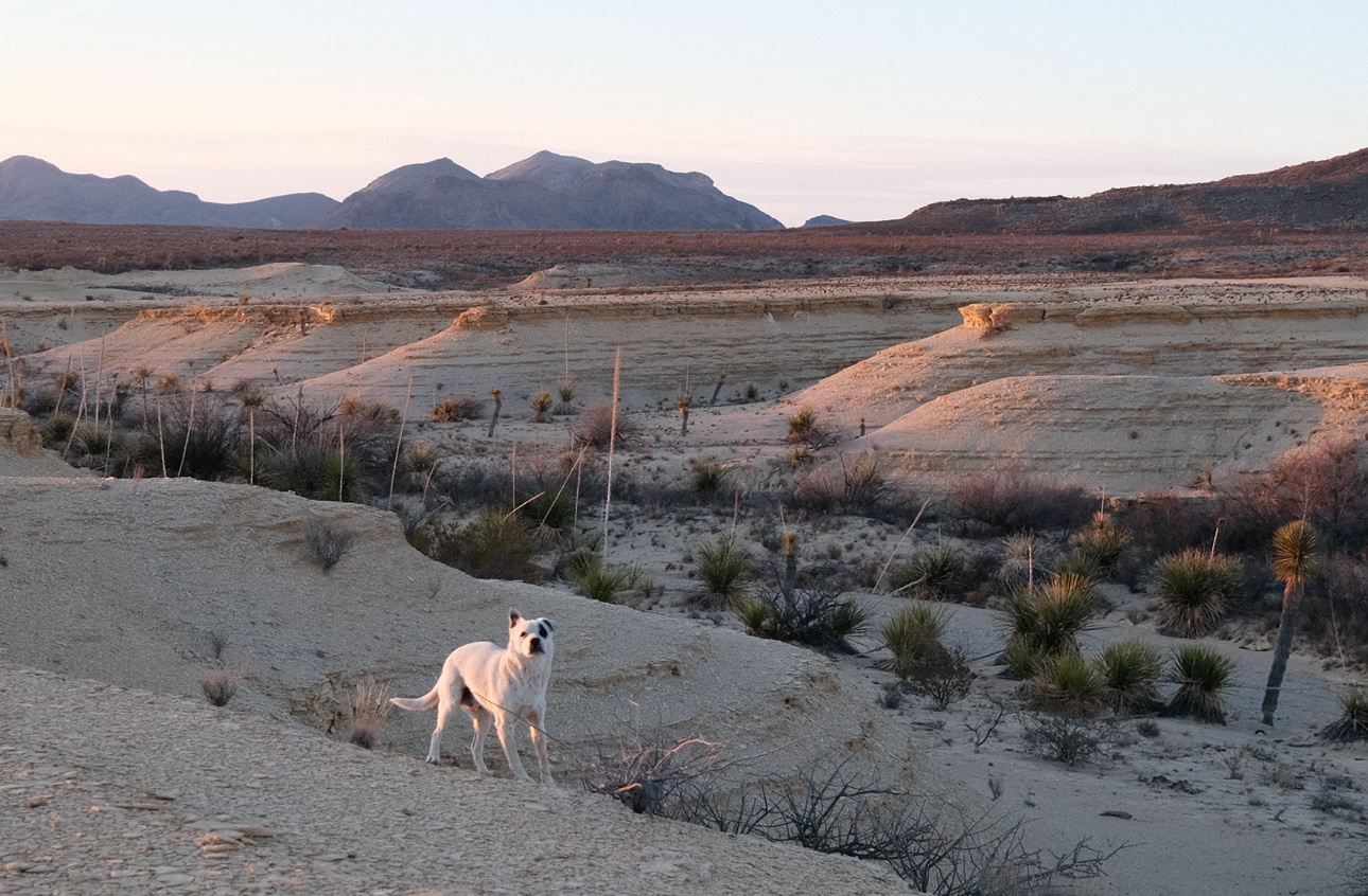 Moonwalker Ranch Terlingua Camping