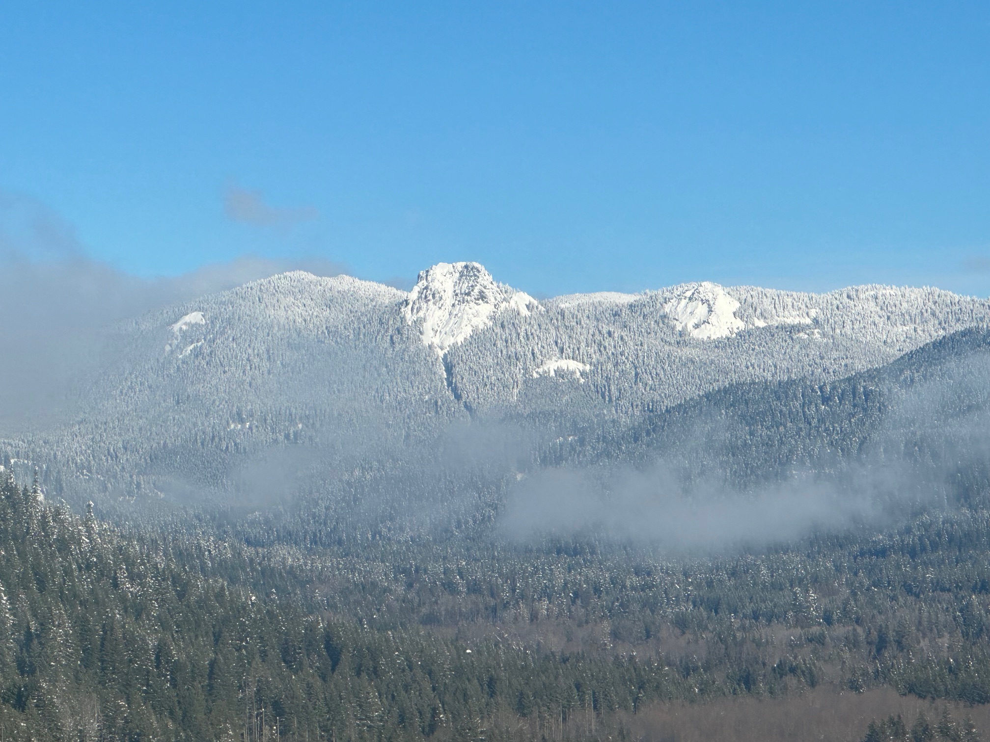 Elk Meadows Mt Adams View Cabin