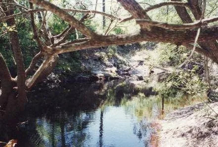 Hidden River Resort