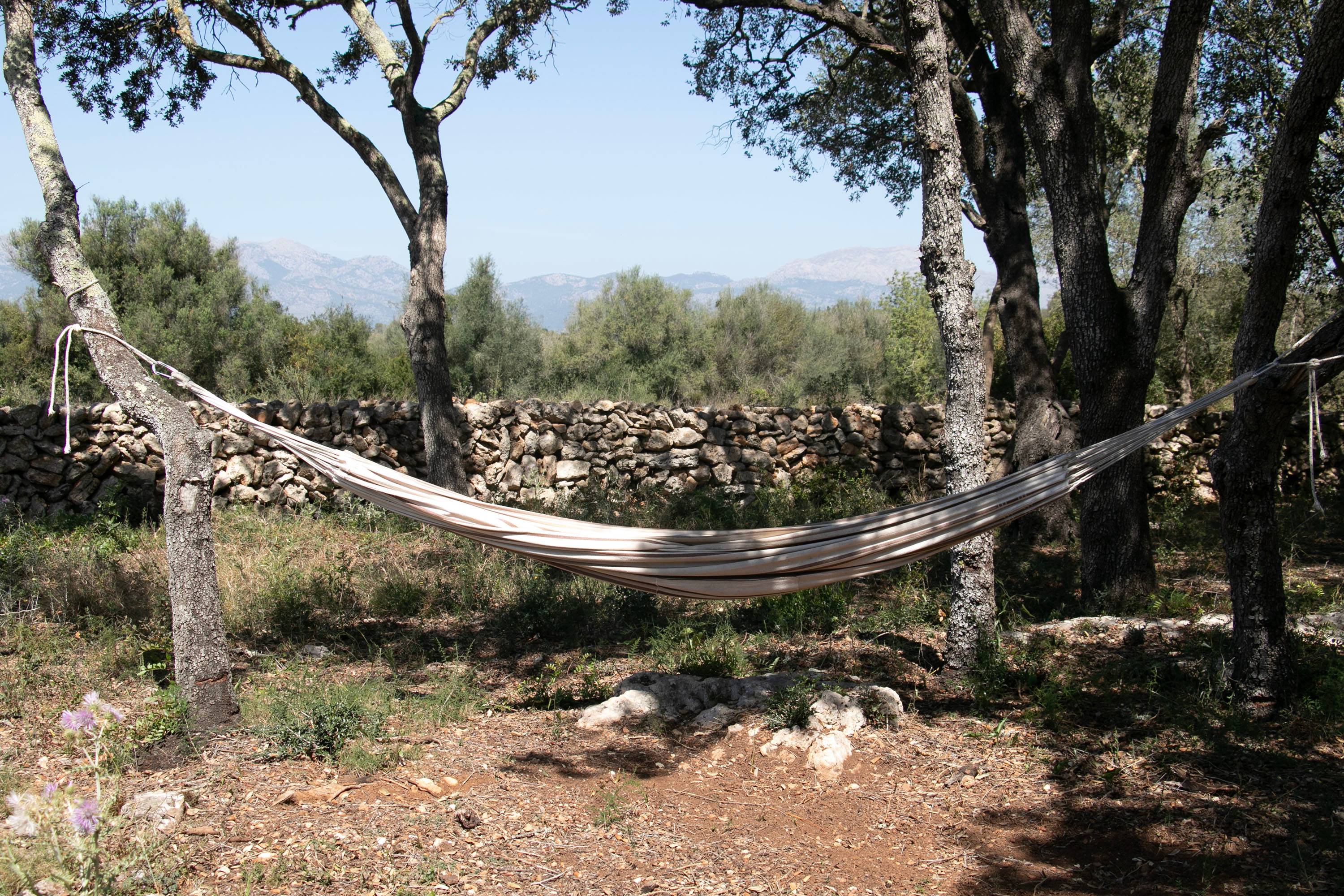 Camp Ozina