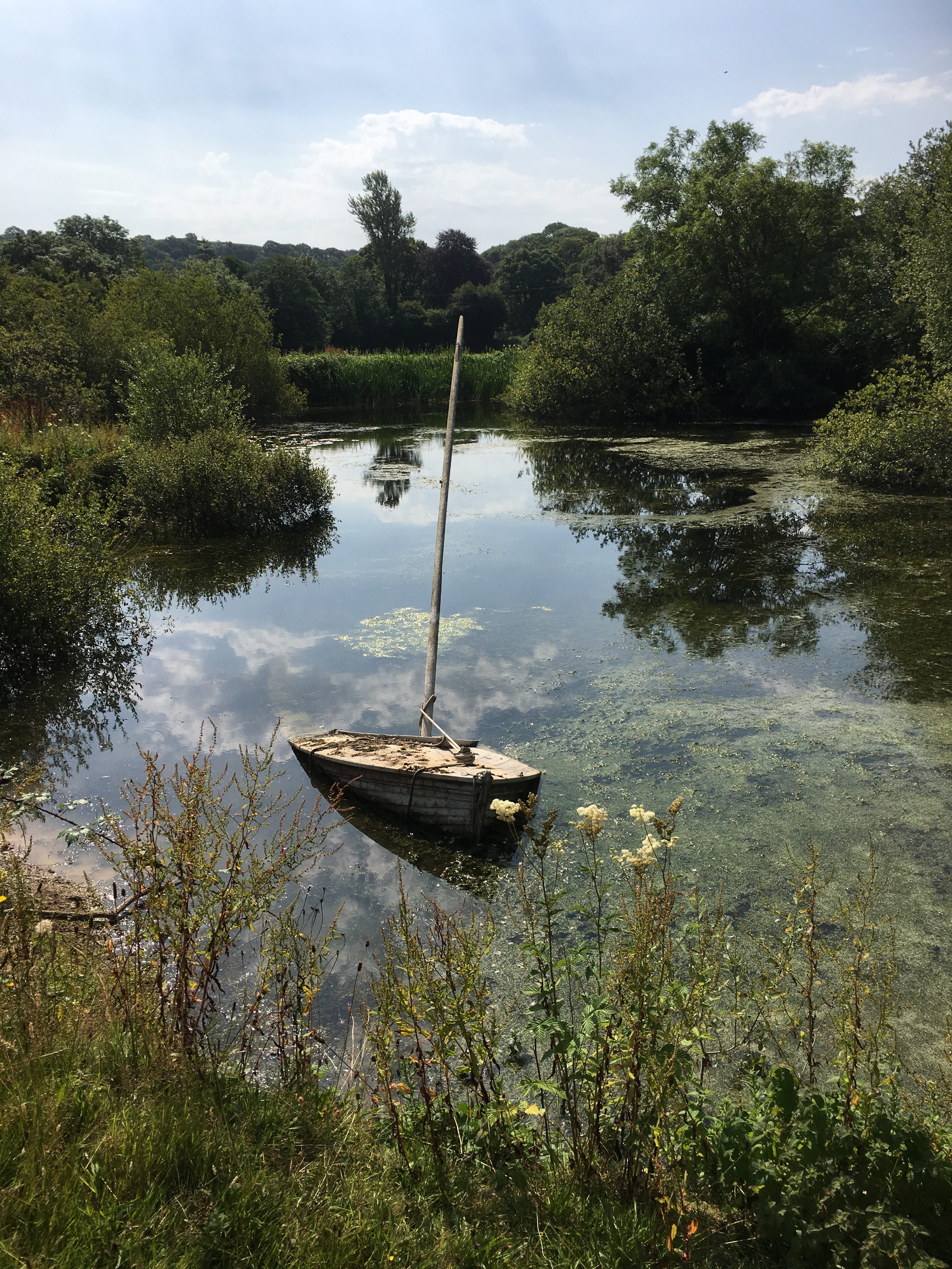Hemsford Yurt Camp, Totnes TQ9 6ND