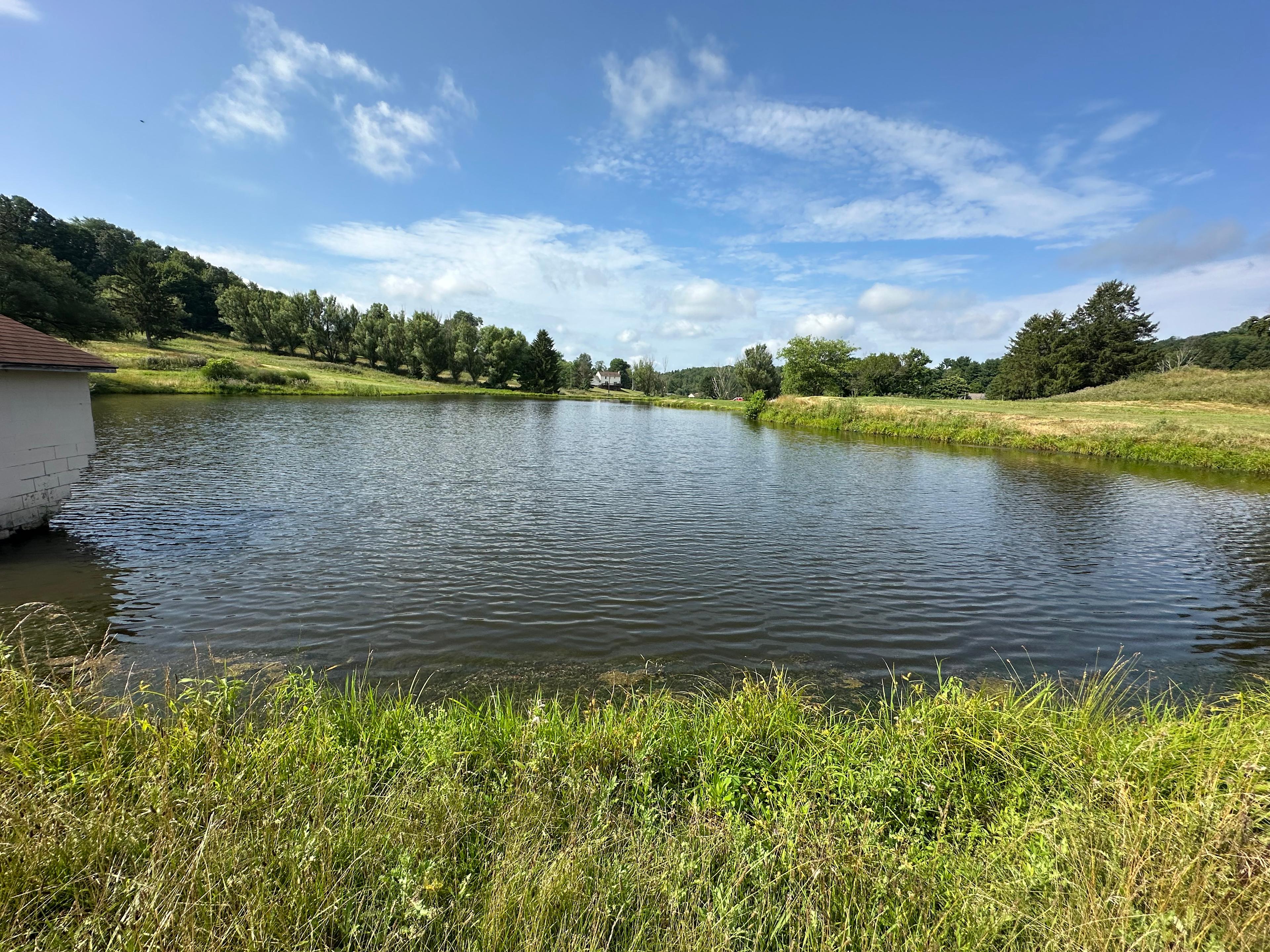 Private Pond Camping