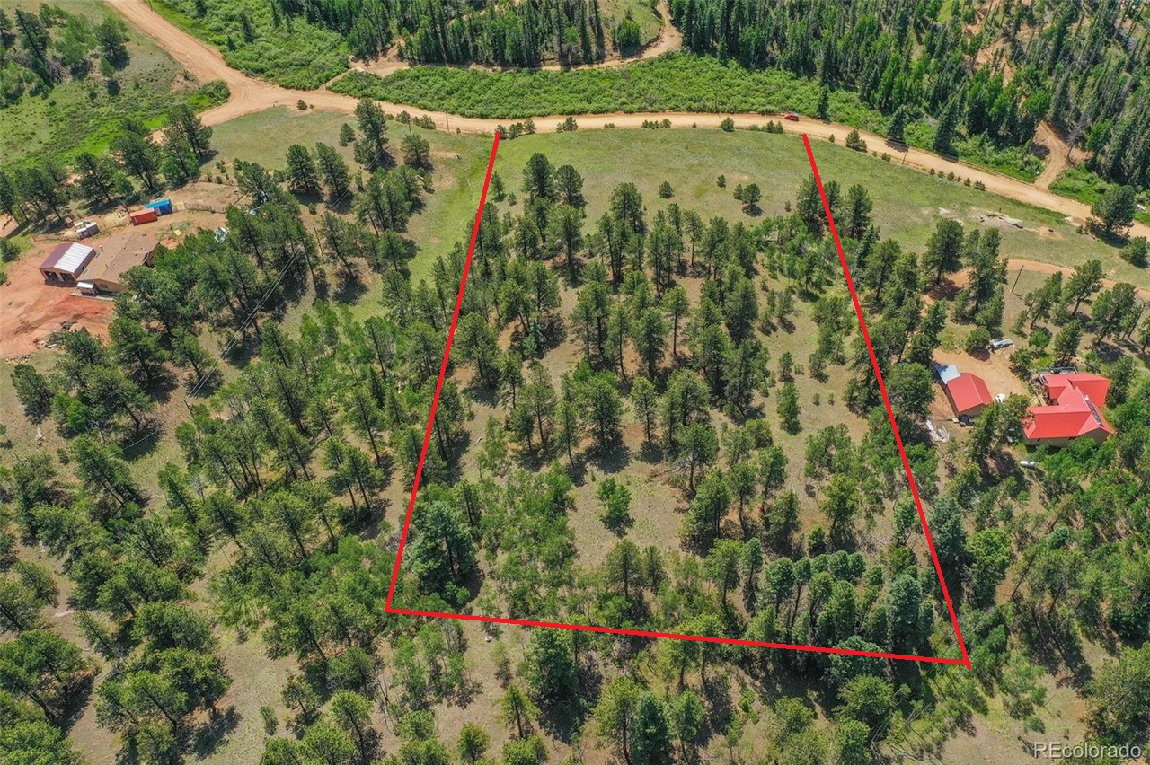 Pine Forest Escape (4x4 Close by)