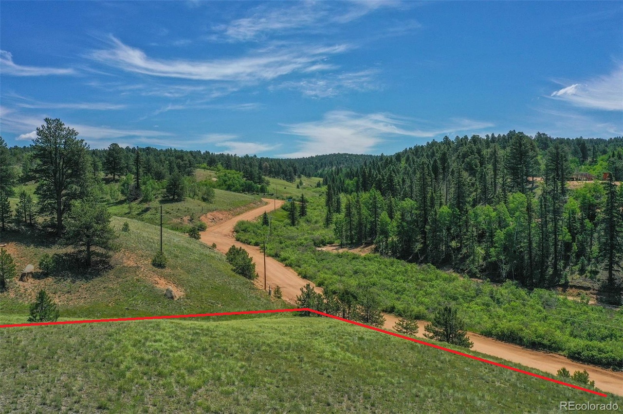 Pine Forest Escape (4x4 Close by)
