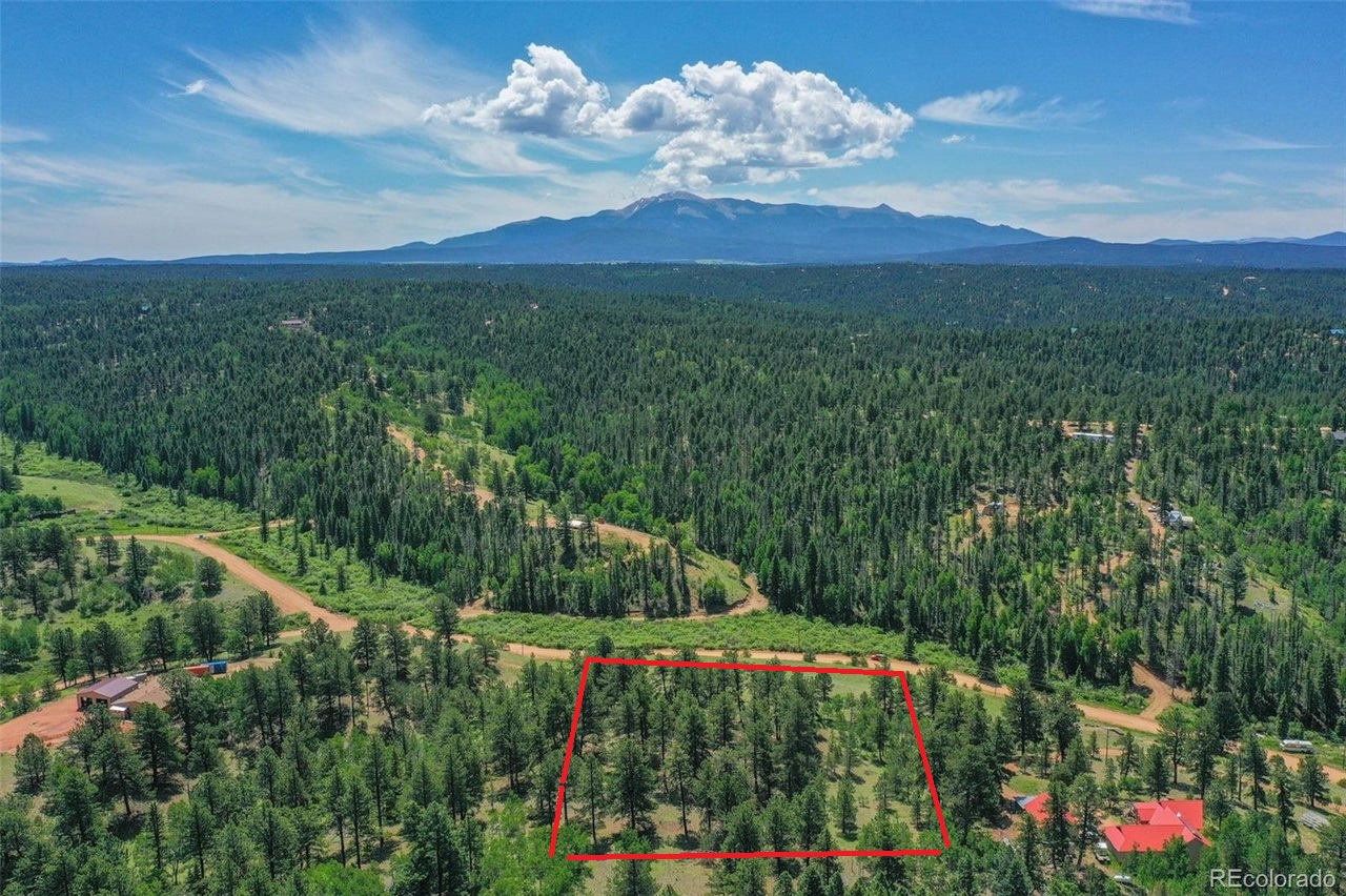 Pine Forest Escape (4x4 Close by)