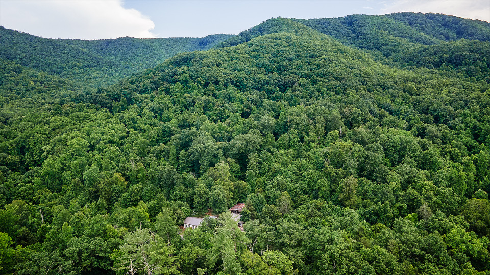 Spirit Reunions deep in the Cherokee Mountains, Tennessee