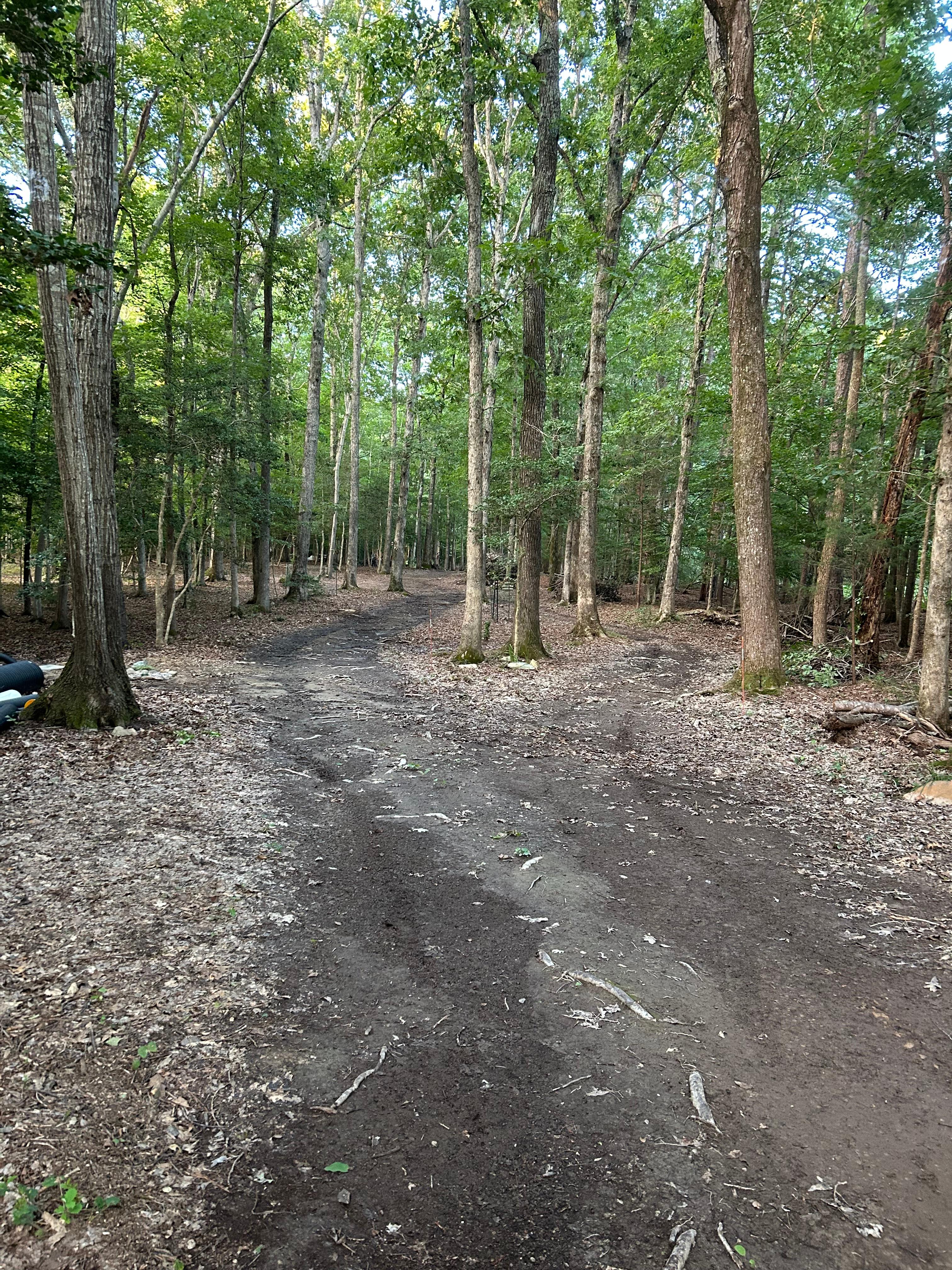 Cypress Woods