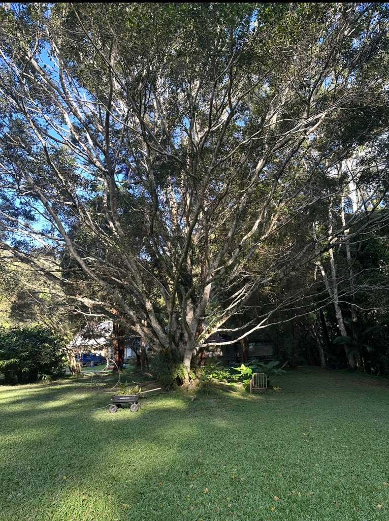Sweet River Farm Bellingen