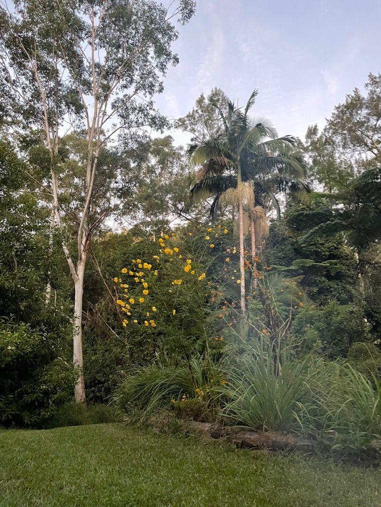 Sweet River Farm Bellingen