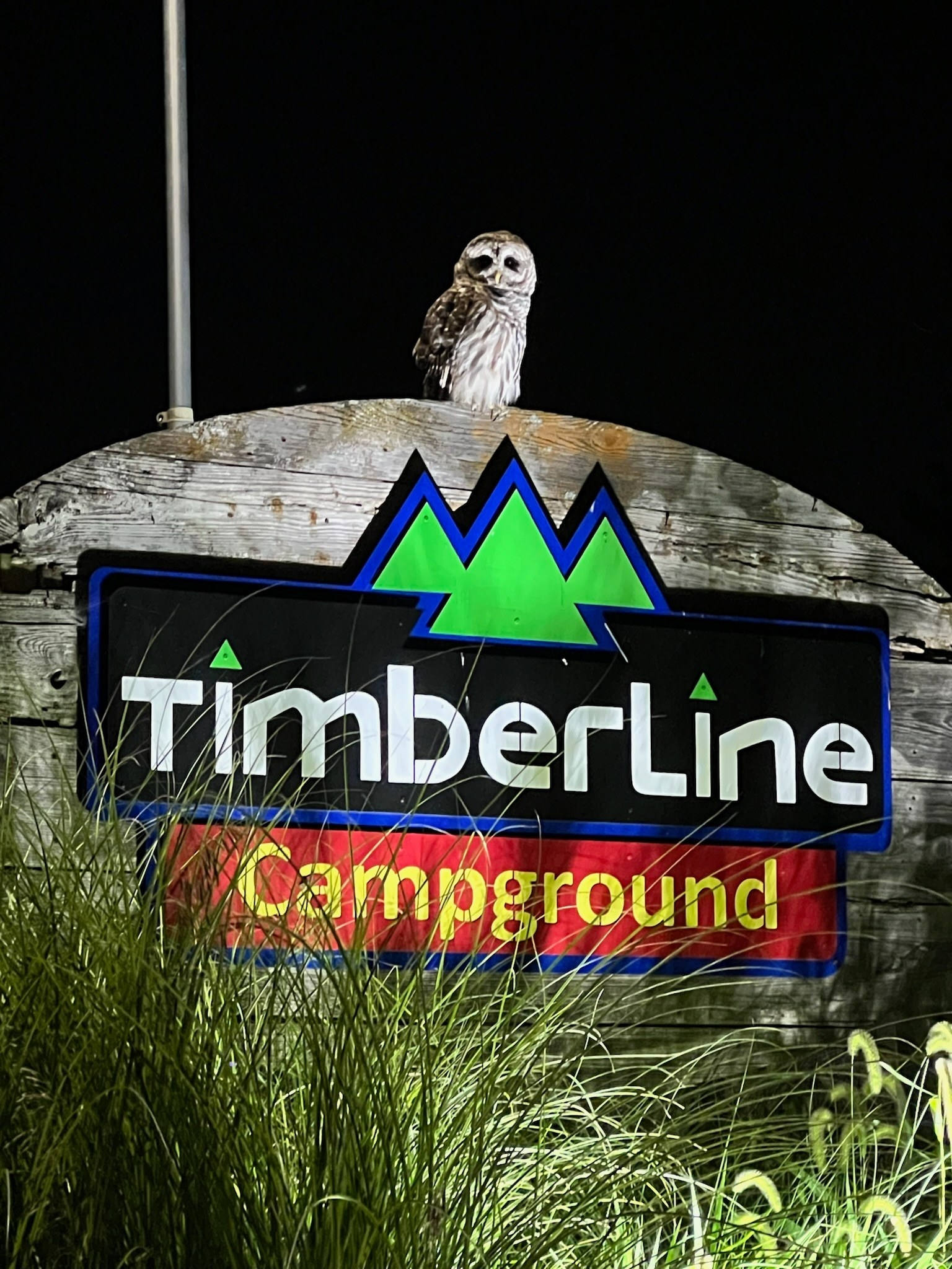 Timberline Campground, Waukee, Iowa