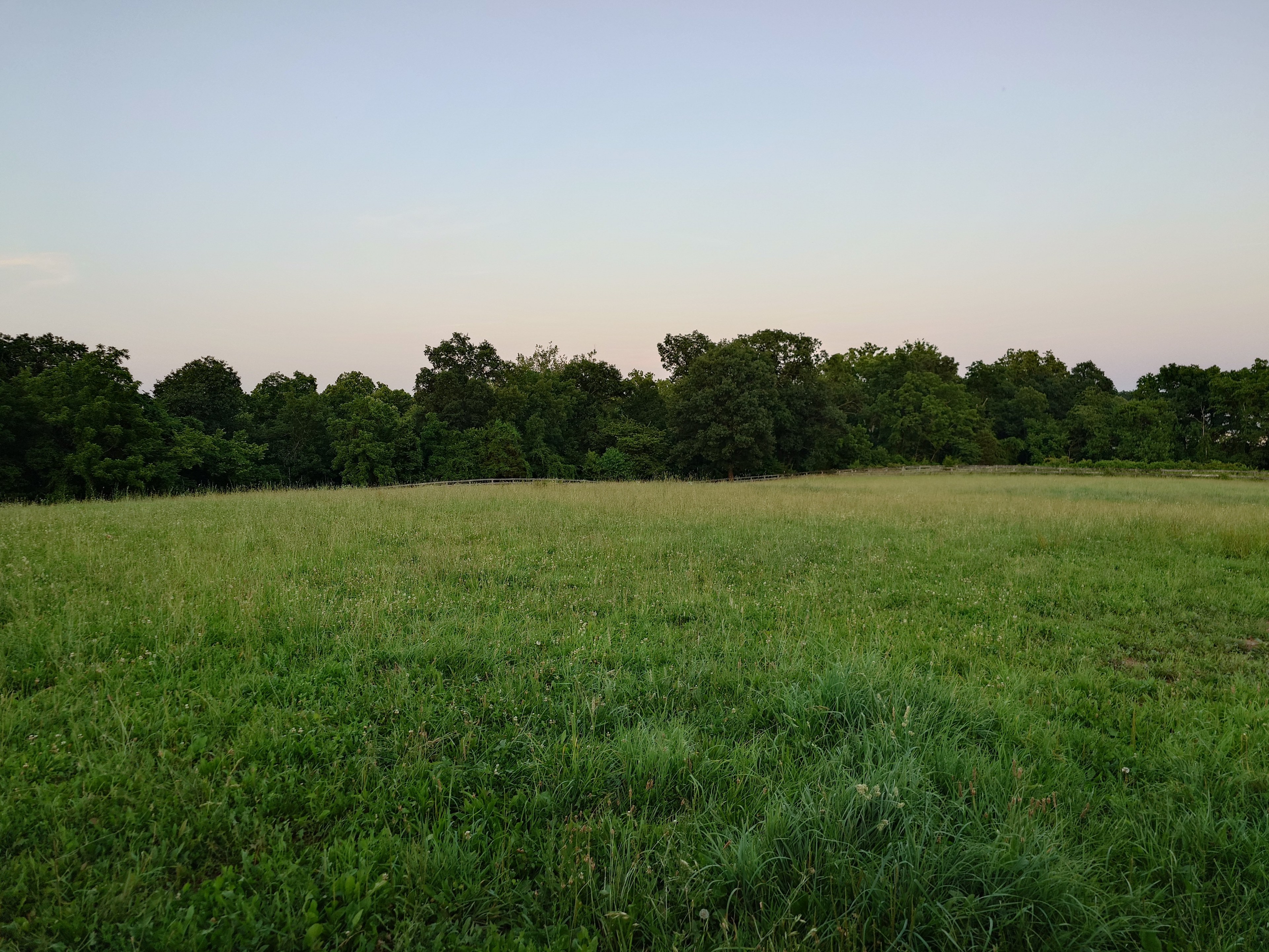 Alpaca acres dry lot camping