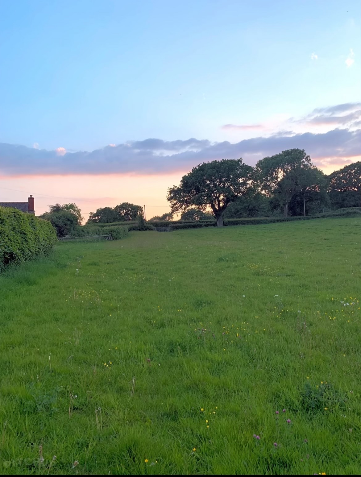 Tyn-y-Cae Meadow Camping